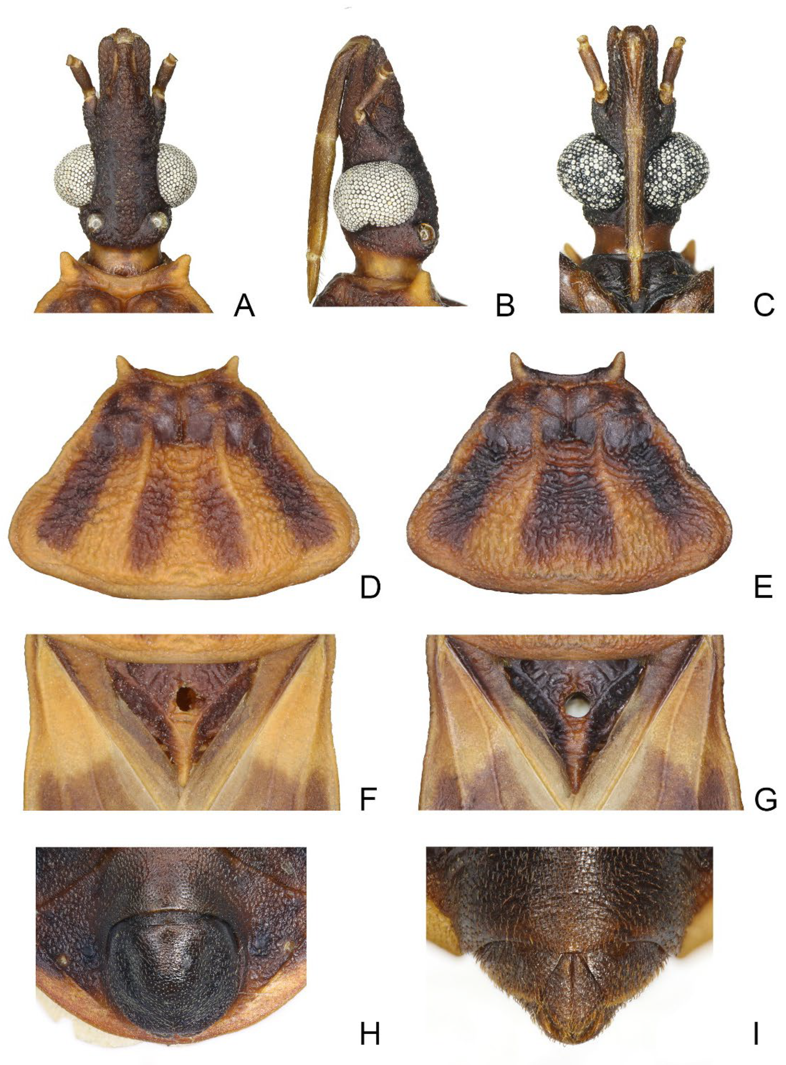 Insects 14 00450 g002