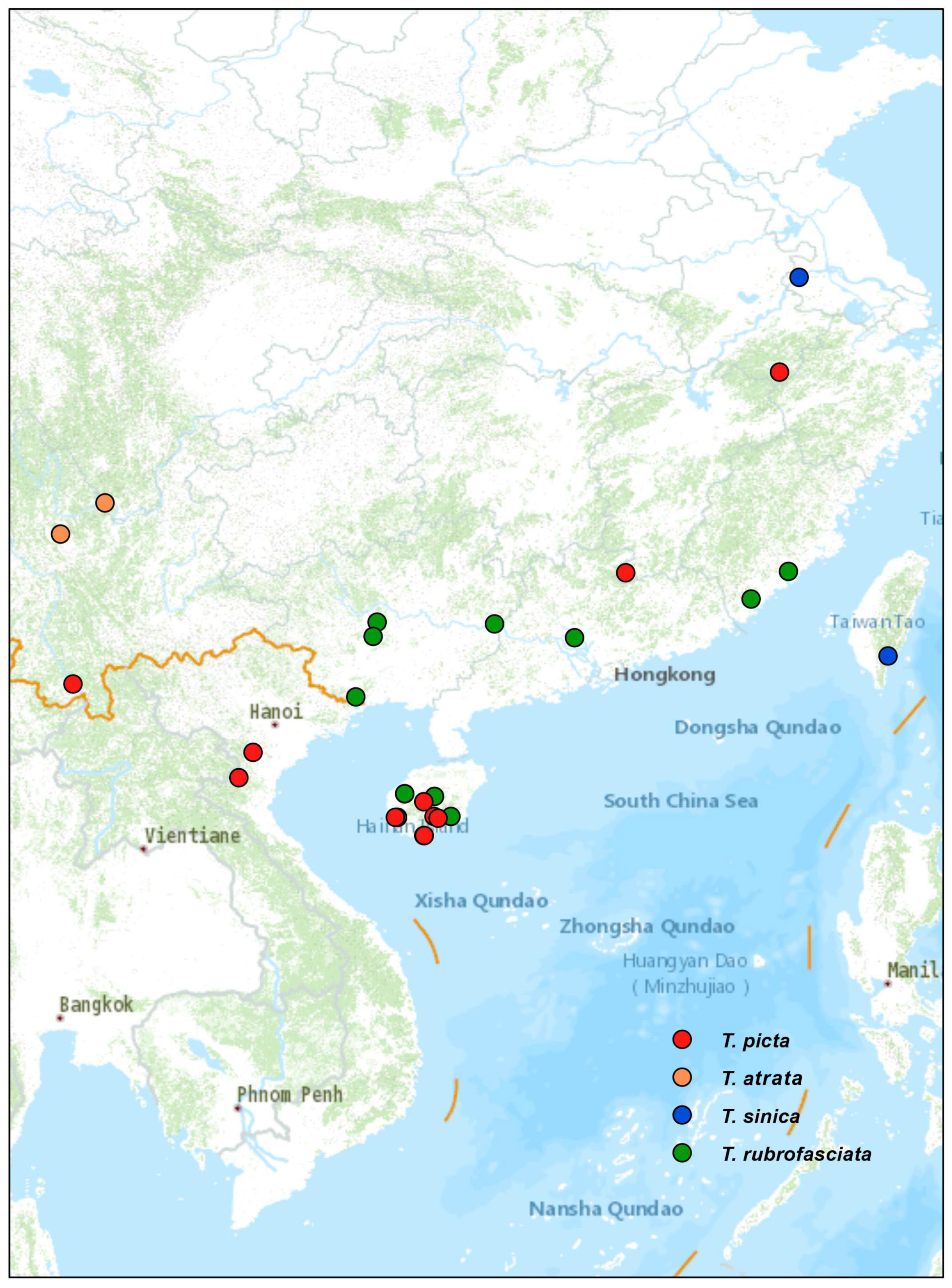 Insects 14 00450 g004