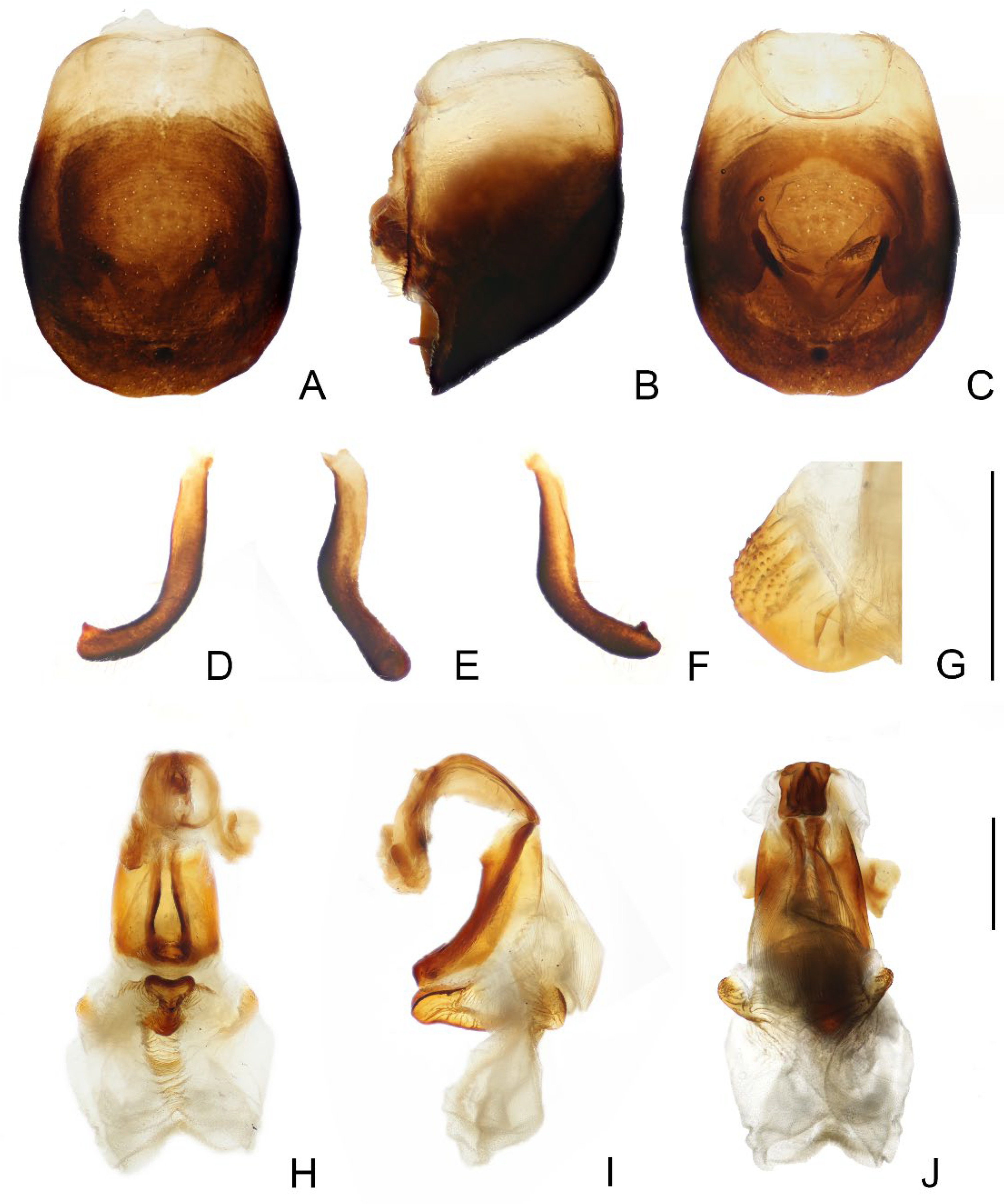 Insects 14 00450 g007