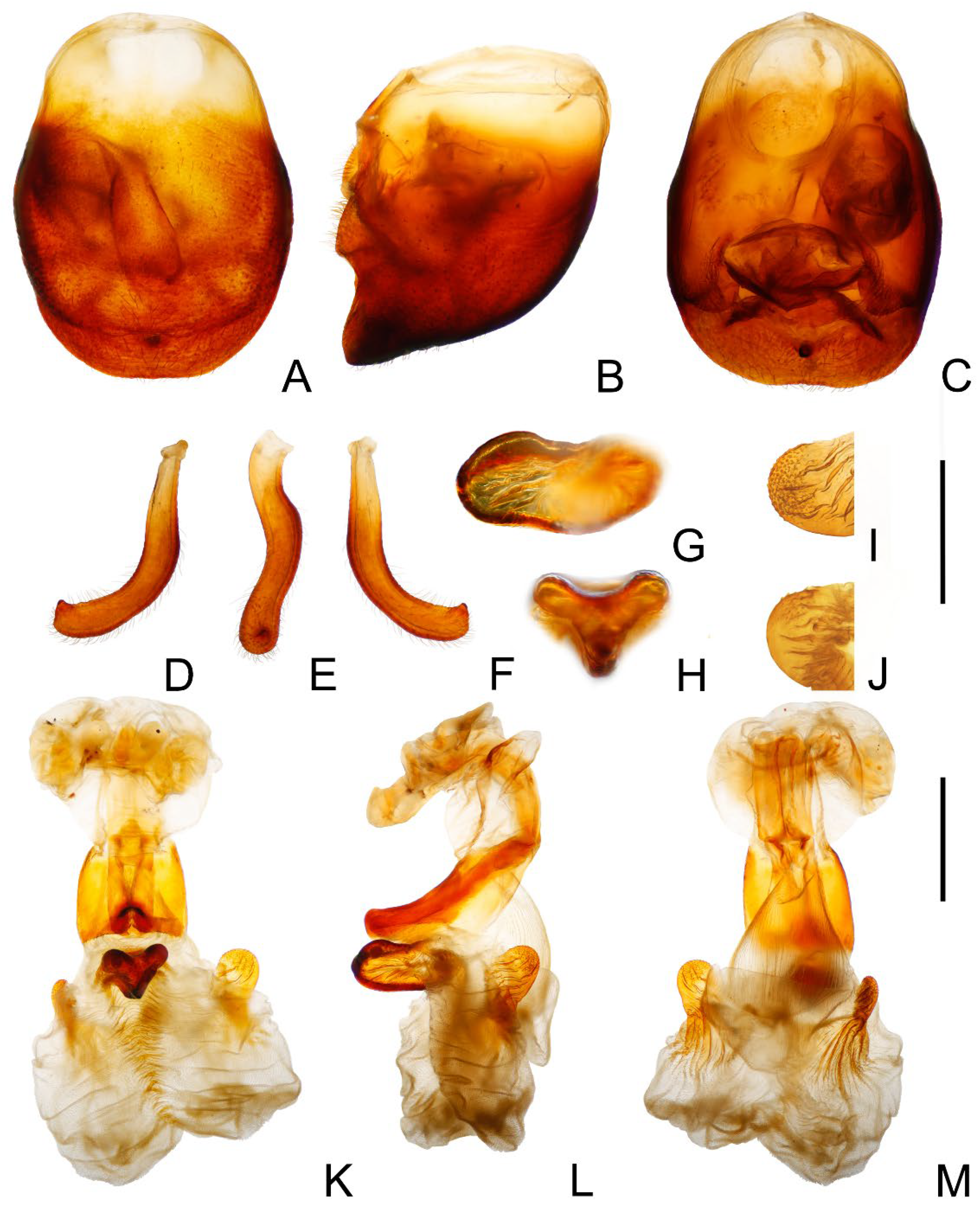 Insects 14 00450 g010