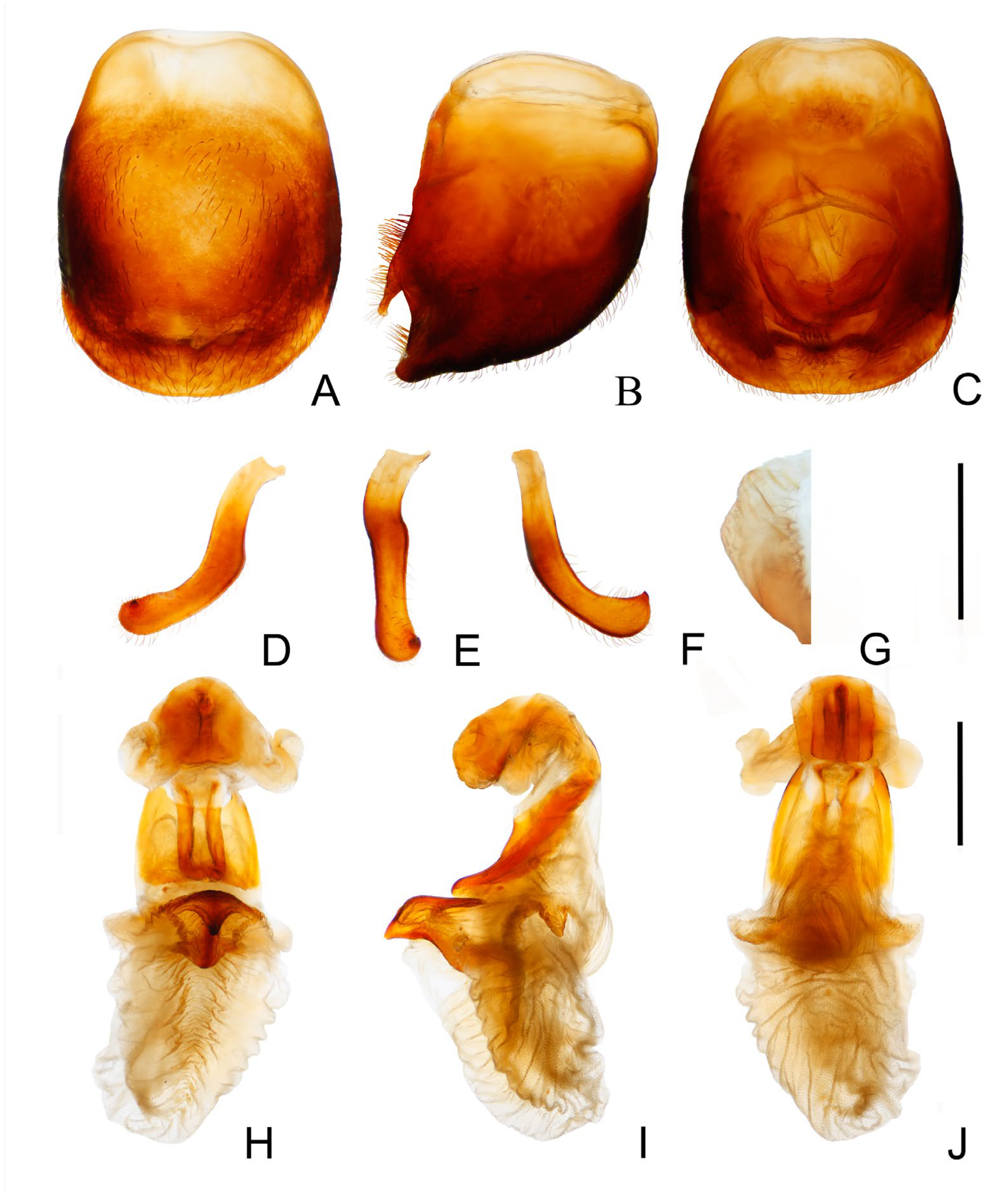 Insects 14 00450 g011