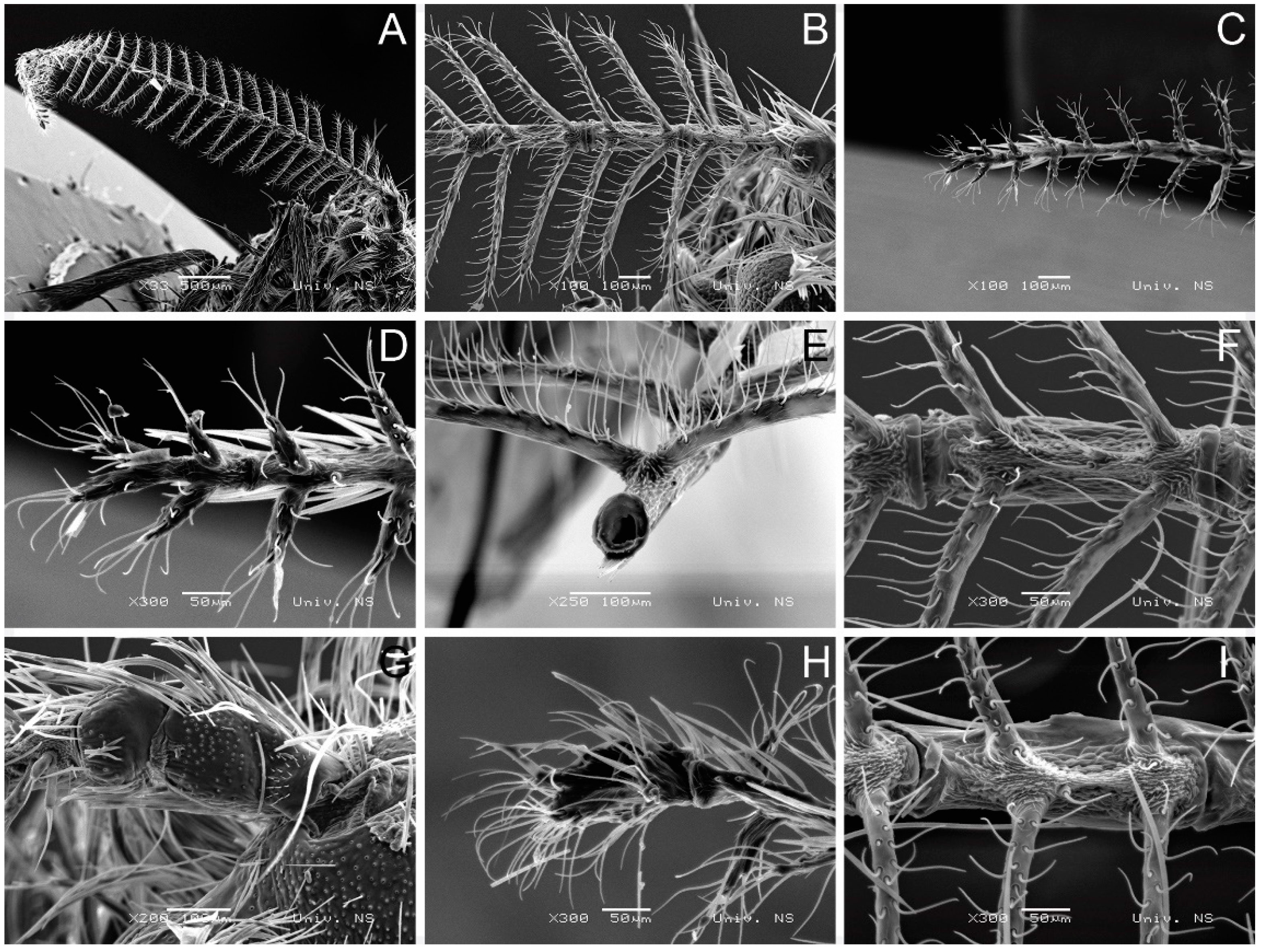 Insects 14 00455 g004