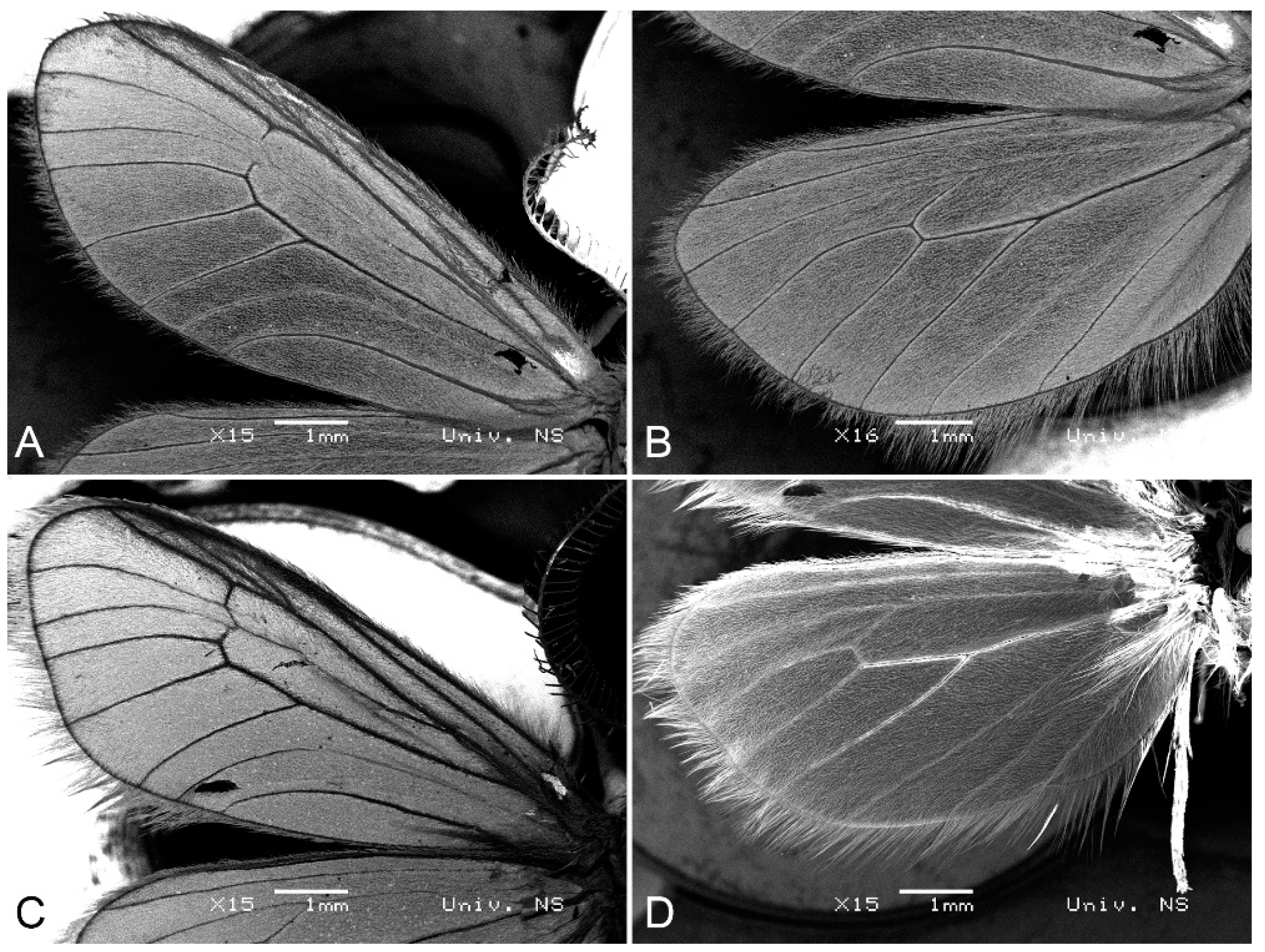 Insects 14 00455 g005