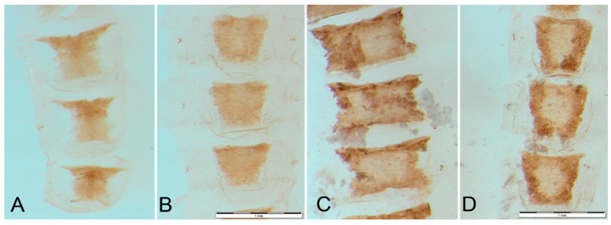 Insects 14 00455 g006