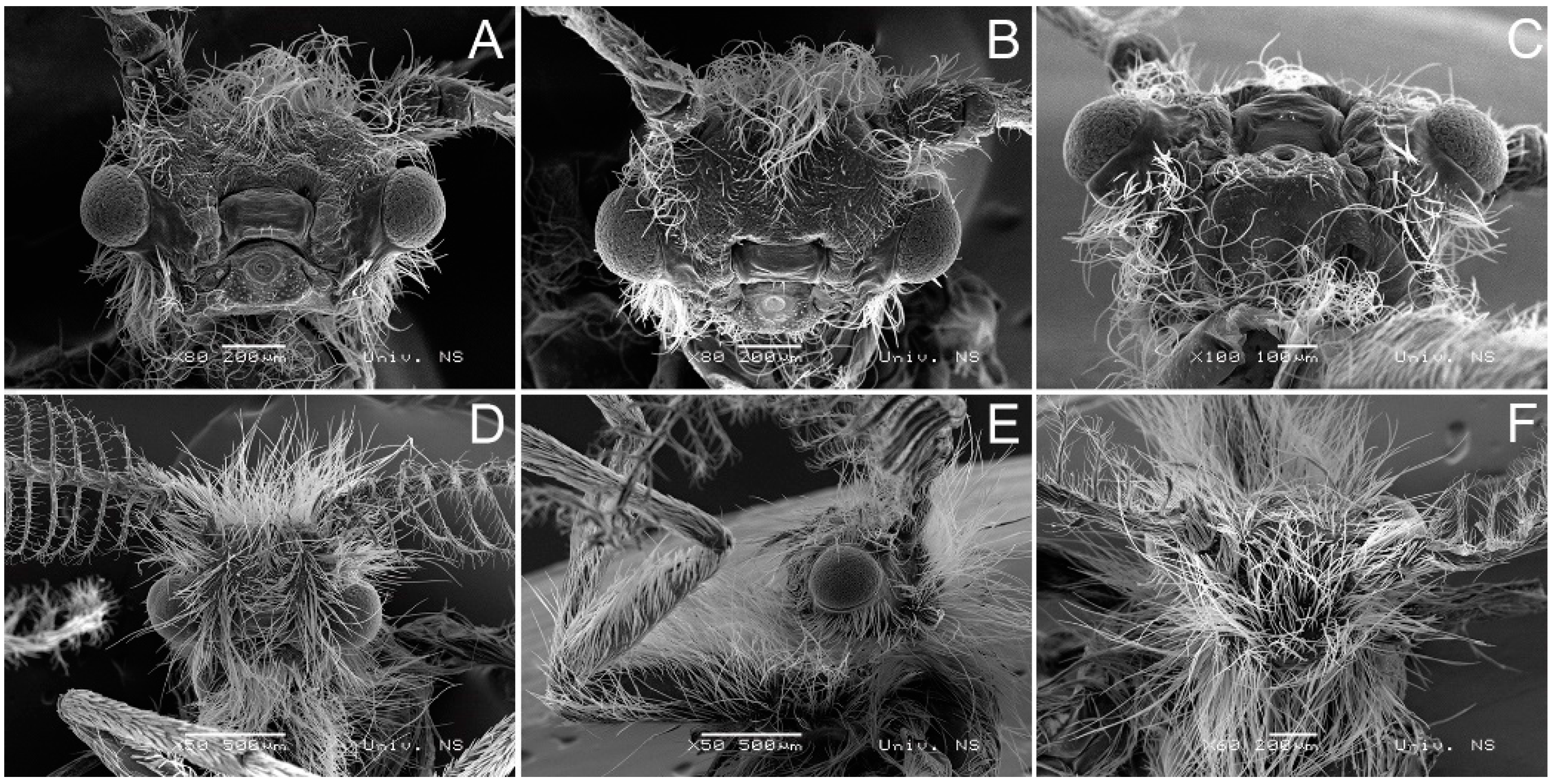 Insects 14 00455 g011