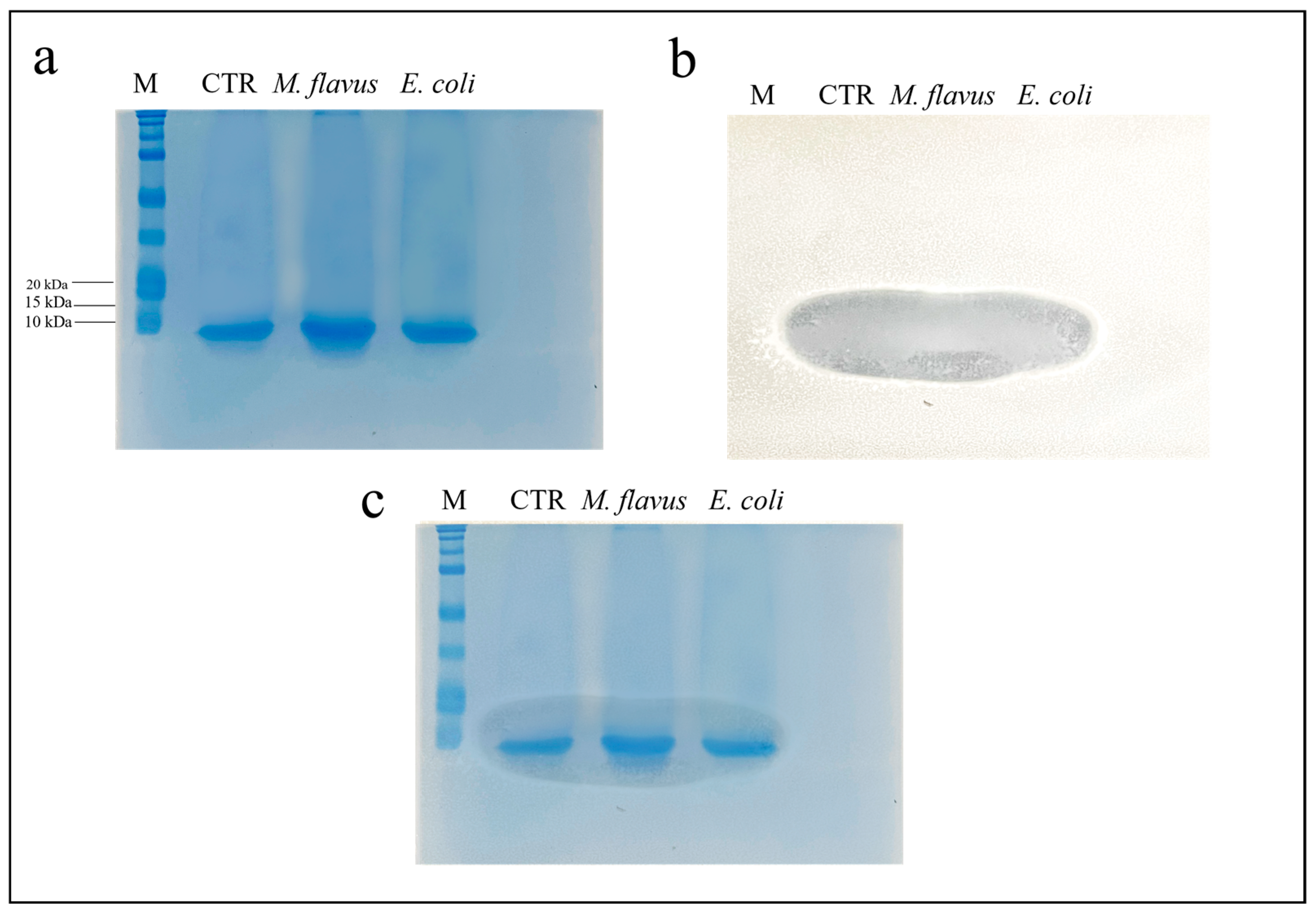 Insects 14 00464 g003