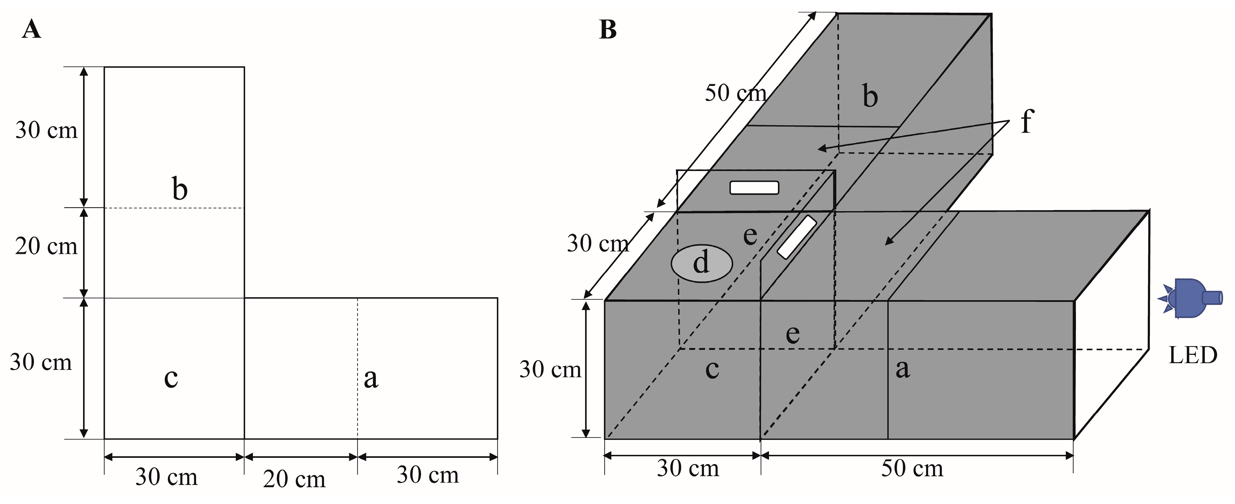 Insects 14 00465 g001