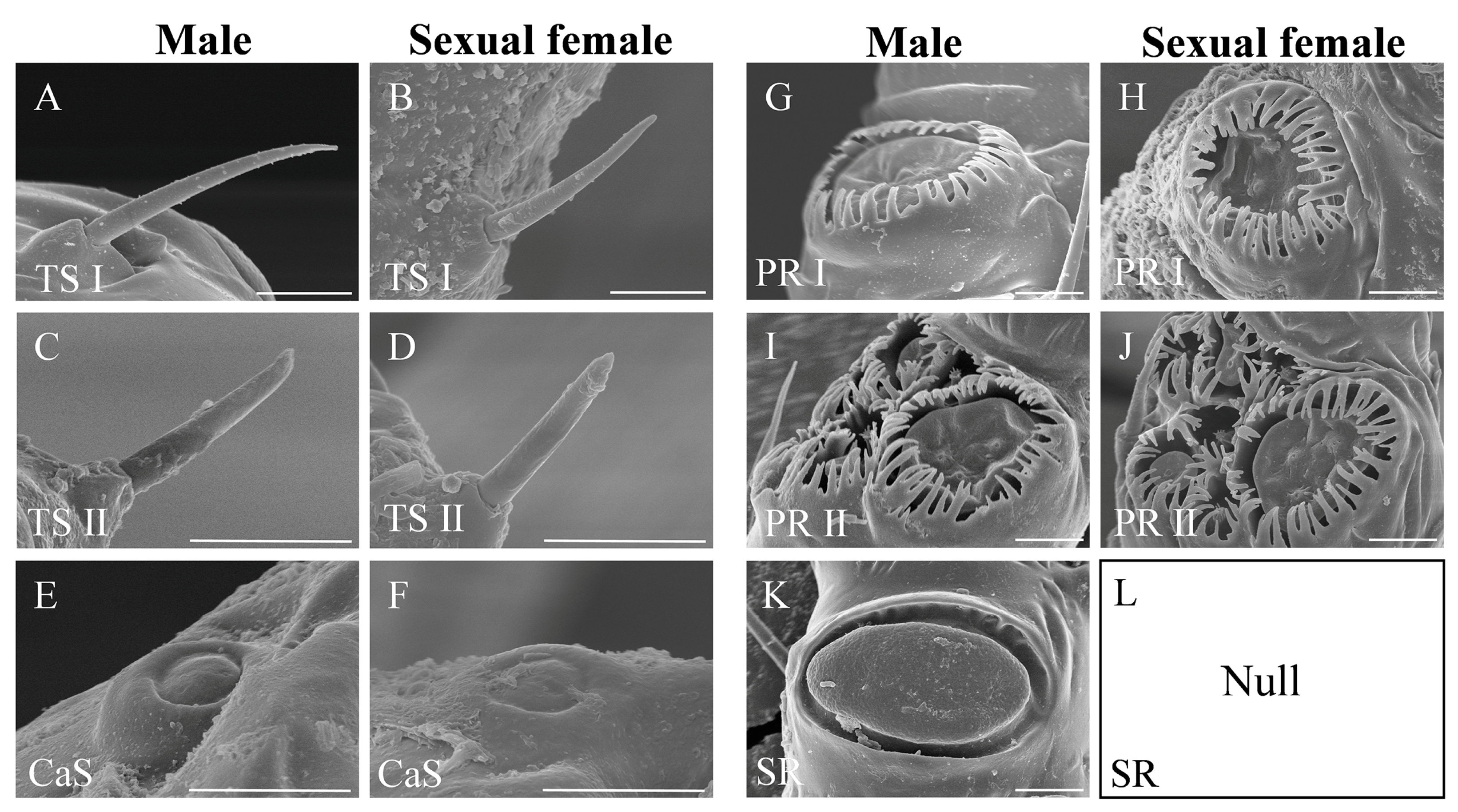 Insects 14 00468 g002 Insects 14 00468 g002