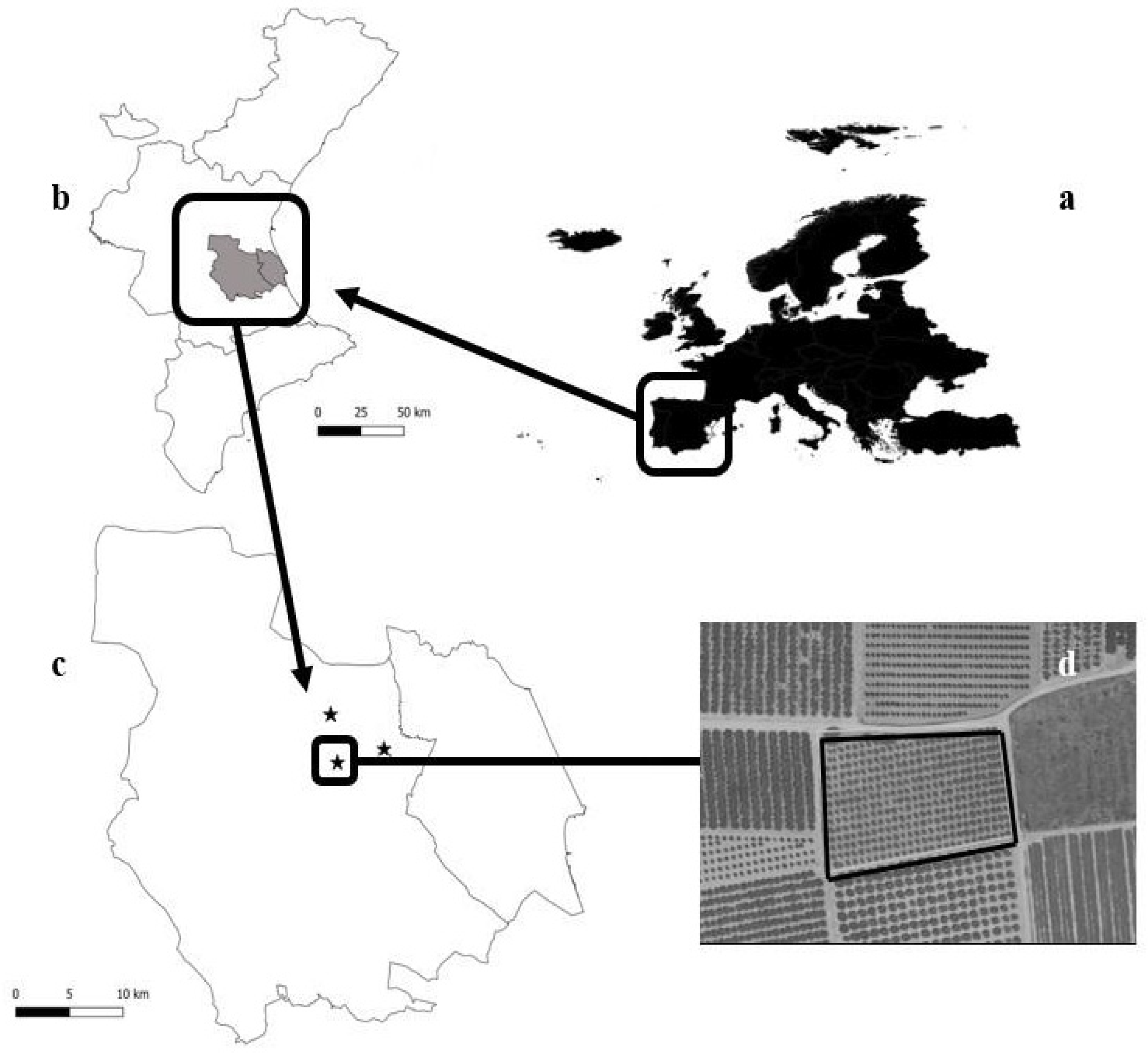 Insects 14 00481 g001 Insects 14 00481 g001