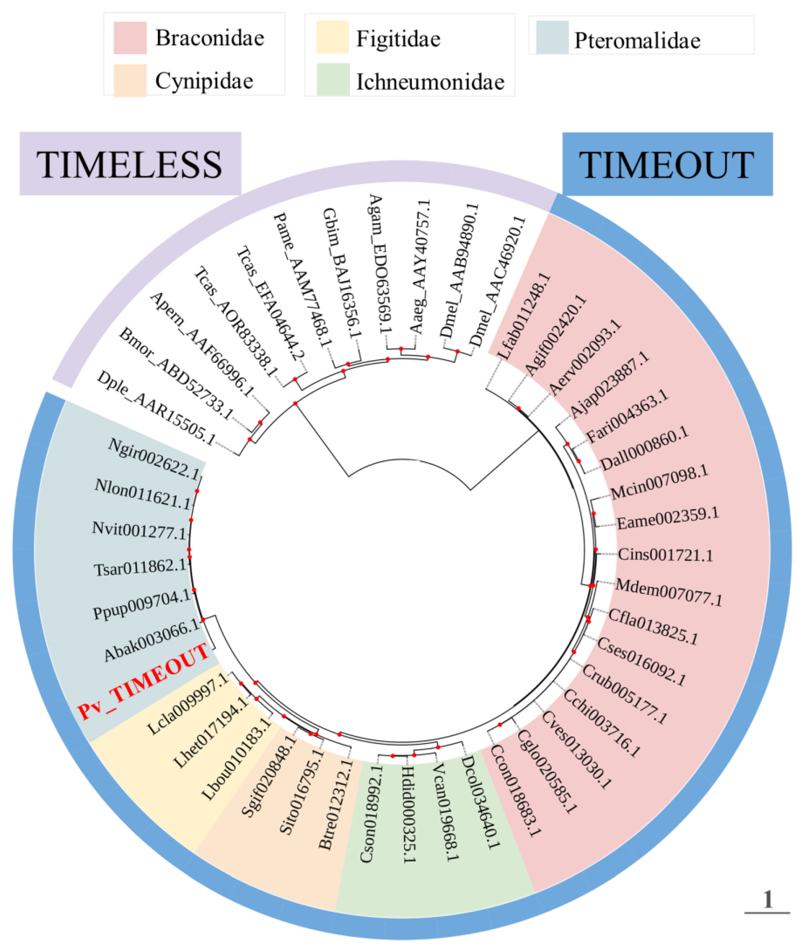 Insects 14 00486 g002 Insects 14 00486 g002