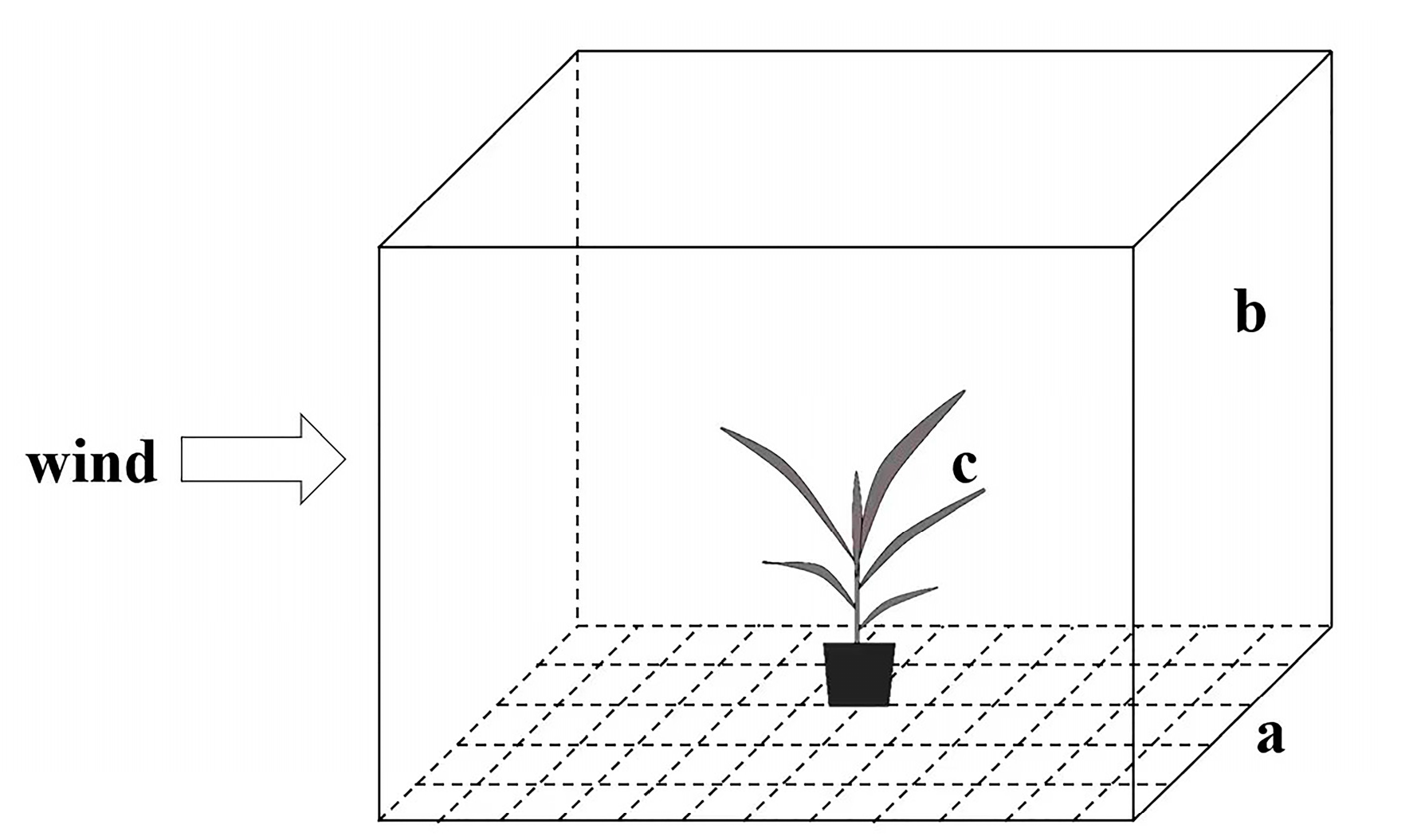 Insects 14 00488 g001 Insects 14 00488 g001