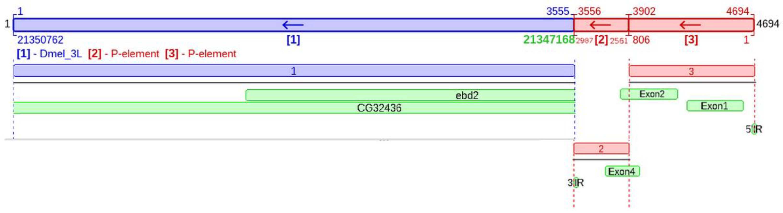 Insects 14 00494 g001