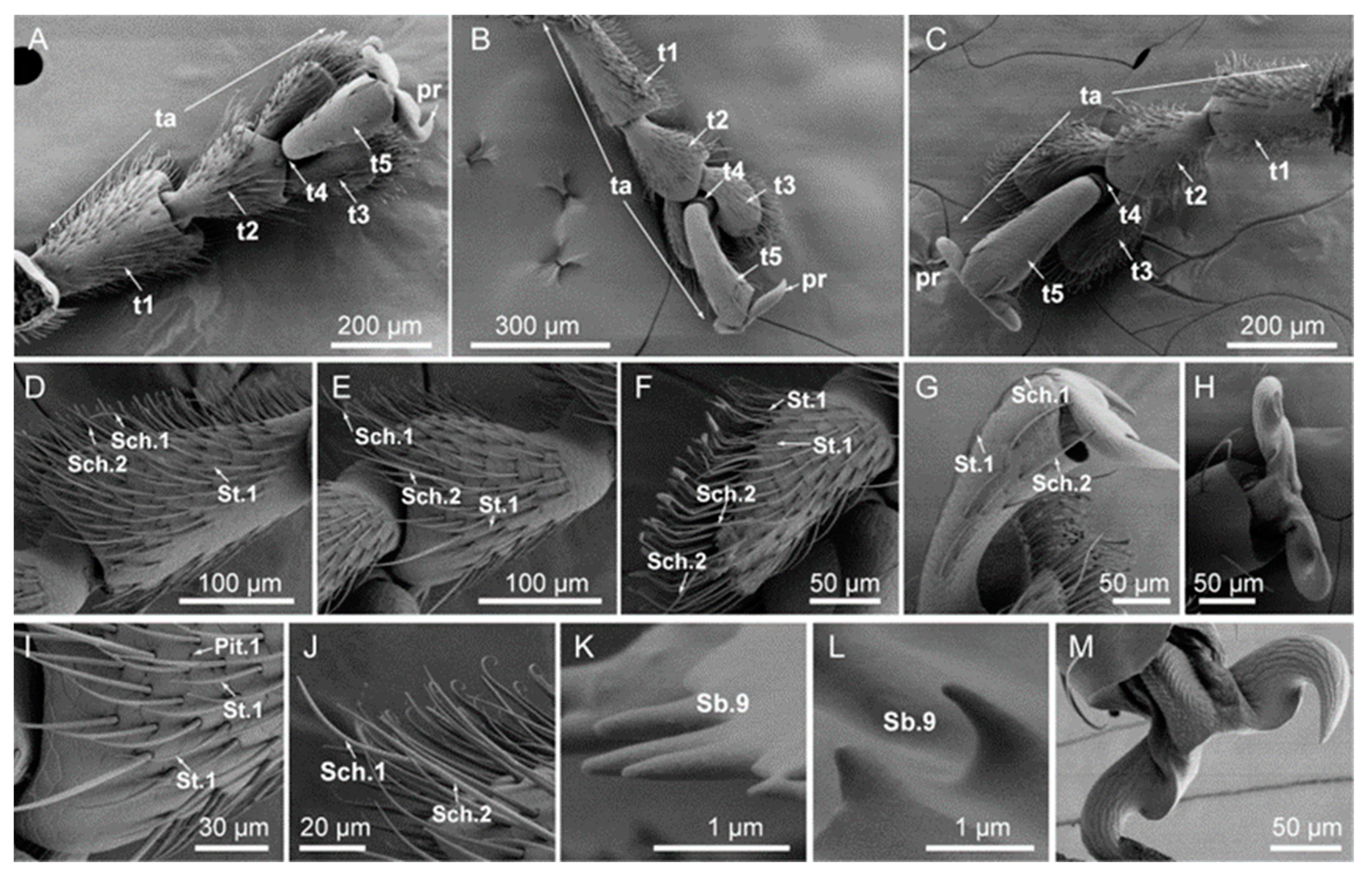 Insects 14 00501 g003