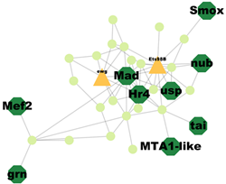 Insects 14 00503 i001 Insects 14 00503 i001