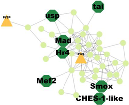 Insects 14 00503 i003 Insects 14 00503 i003