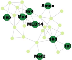 Insects 14 00503 i004 Insects 14 00503 i004