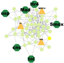 Insects 14 00503 i005 Insects 14 00503 i005