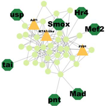 Insects 14 00503 i007 Insects 14 00503 i007