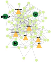 Insects 14 00503 i008 Insects 14 00503 i008