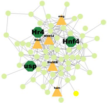 Insects 14 00503 i009 Insects 14 00503 i009