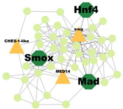 Insects 14 00503 i010 Insects 14 00503 i010