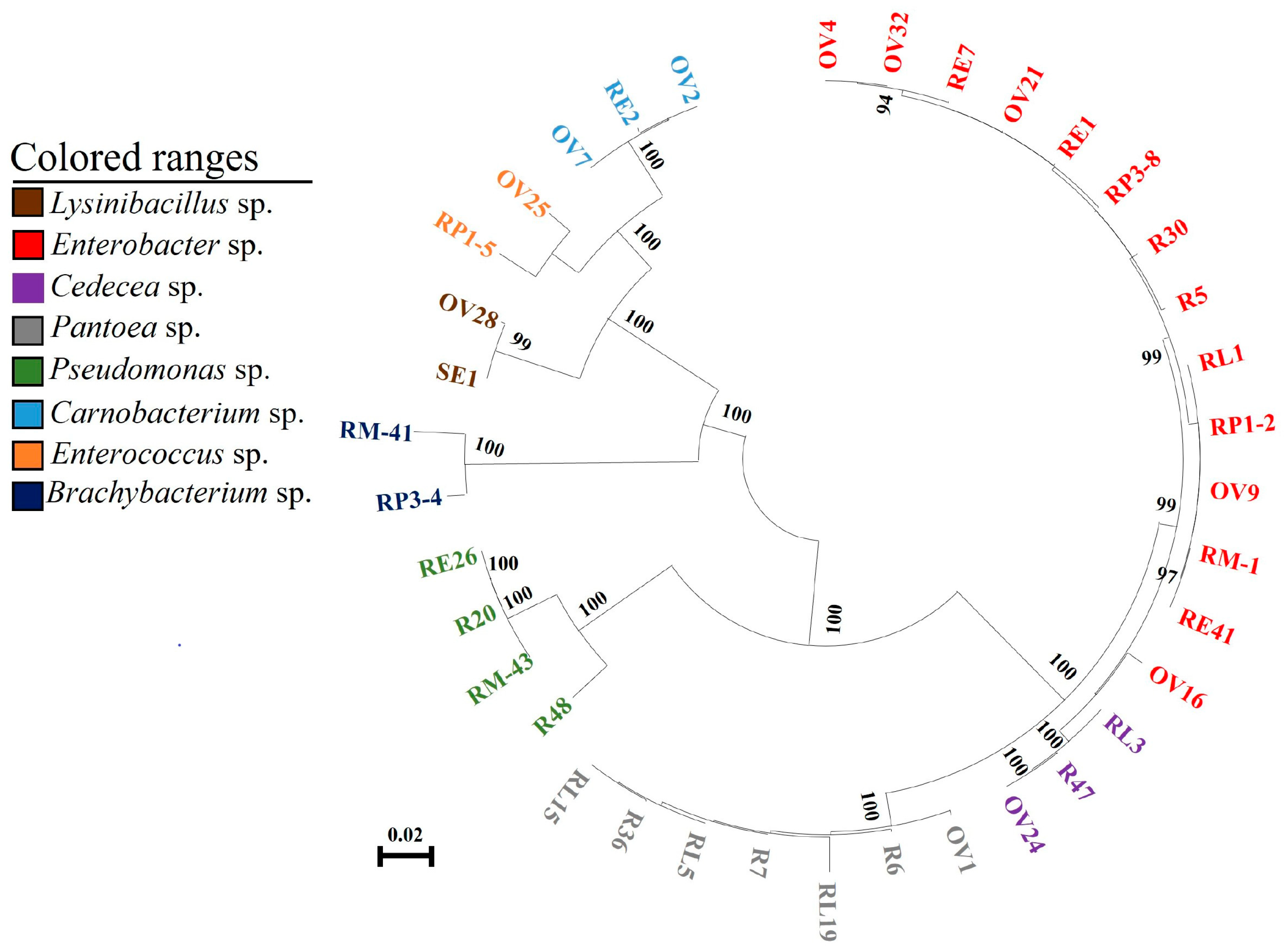 Insects 14 00504 g003
