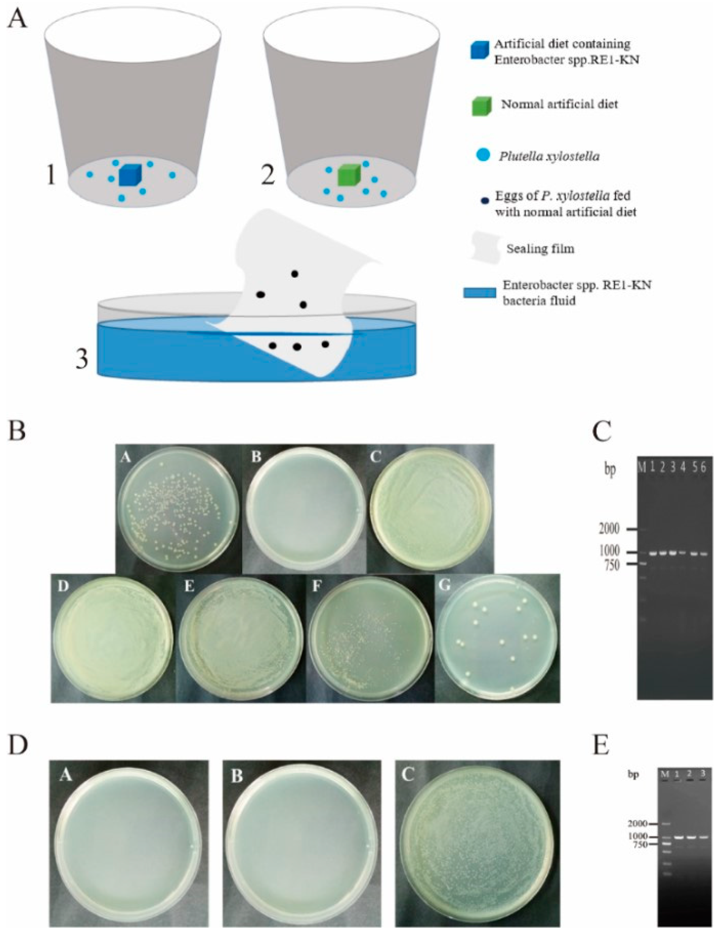 Insects 14 00504 g004