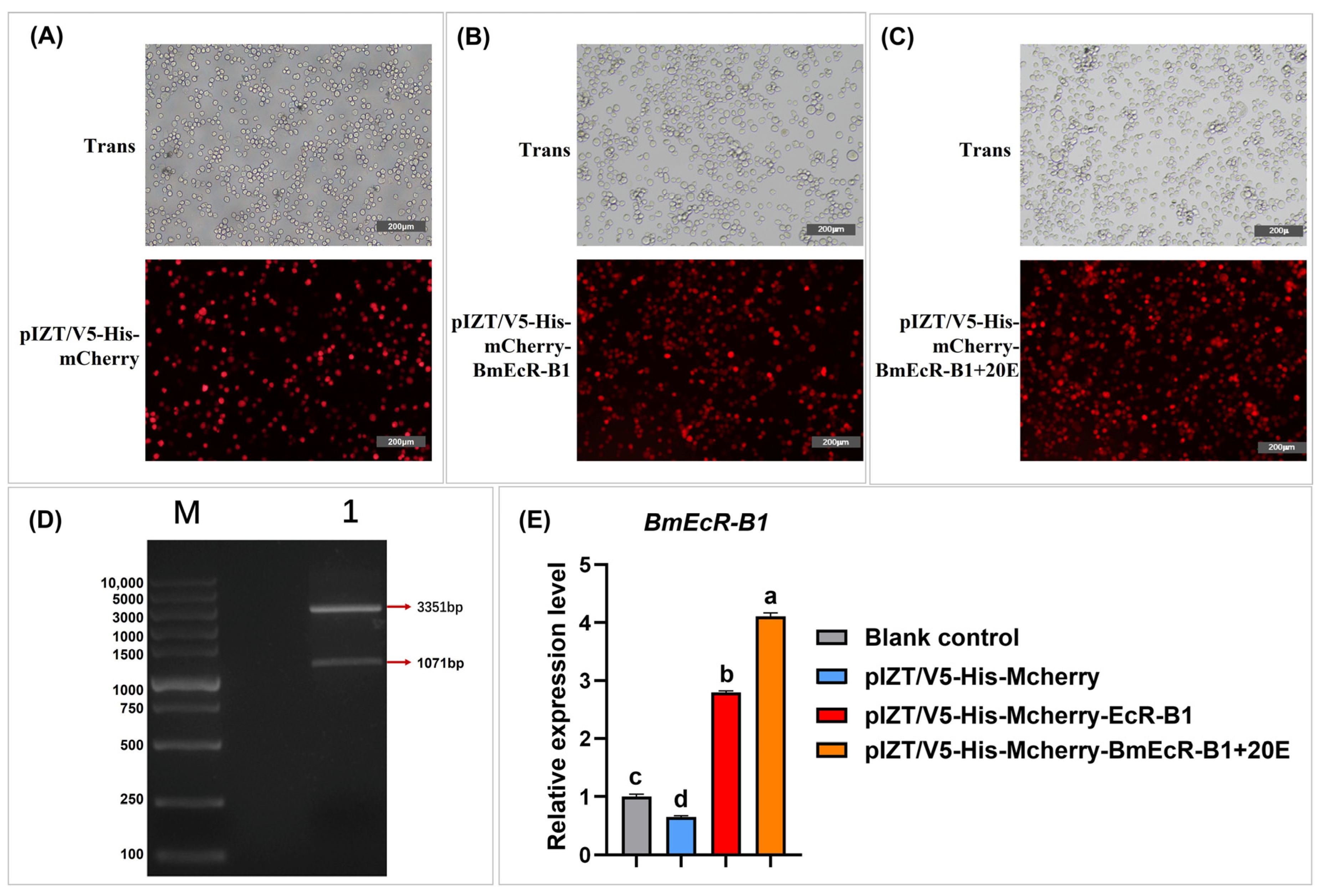 Insects 14 00505 g005 Insects 14 00505 g005