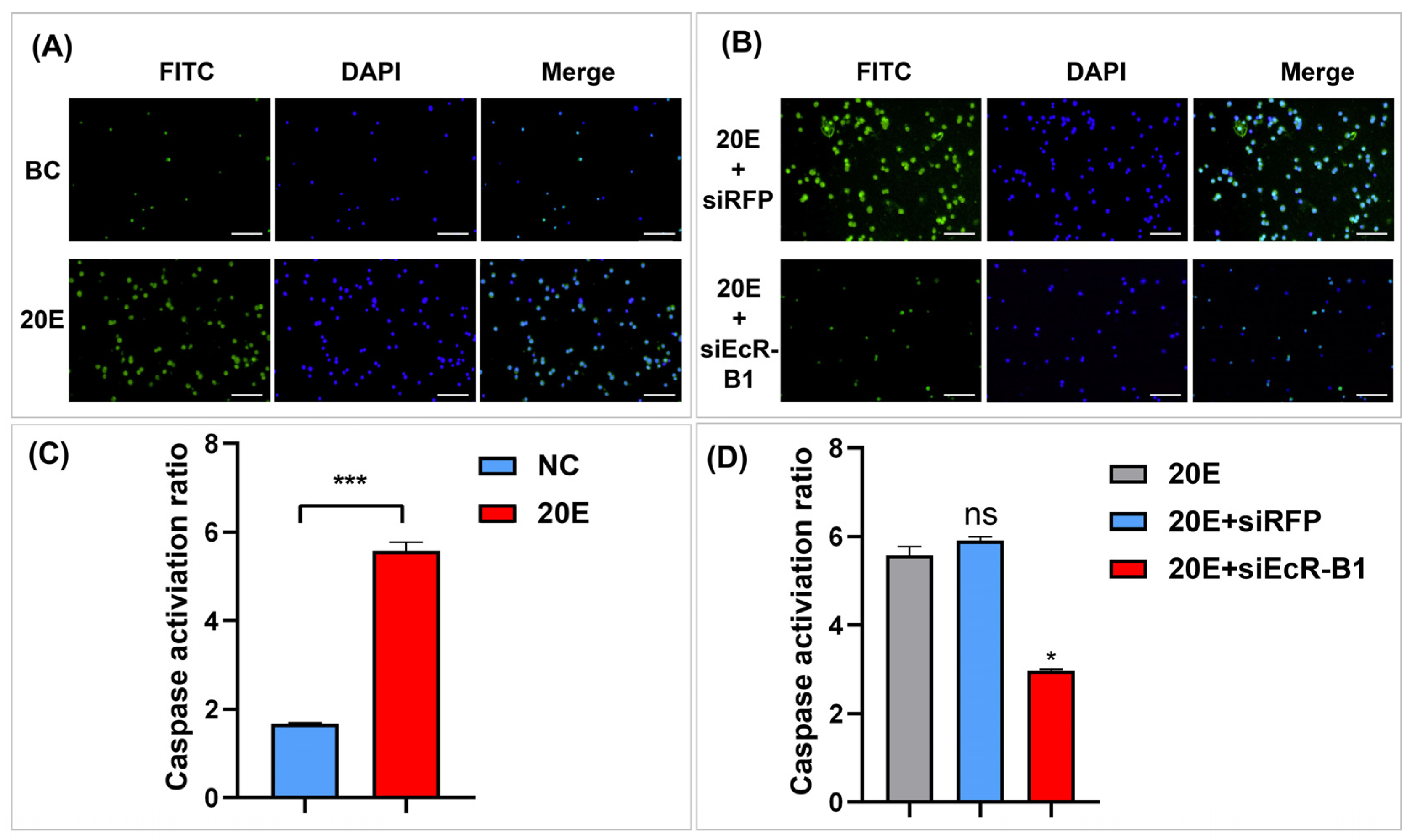 Insects 14 00505 g007 Insects 14 00505 g007