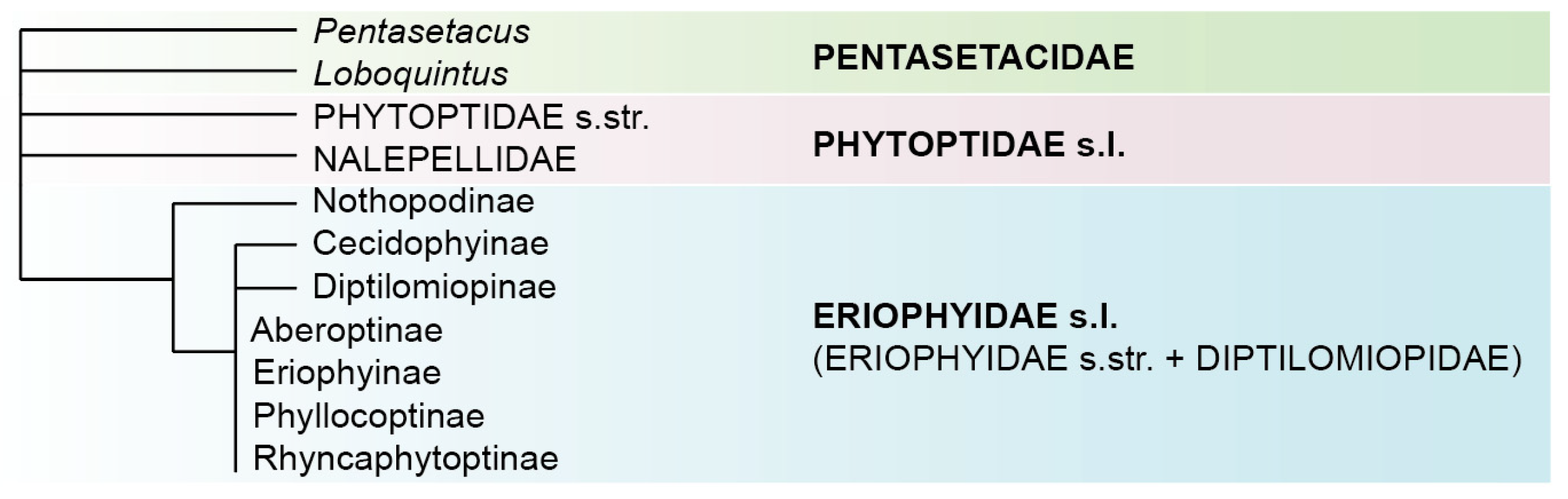 Insects 14 00507 g001 Insects 14 00507 g001