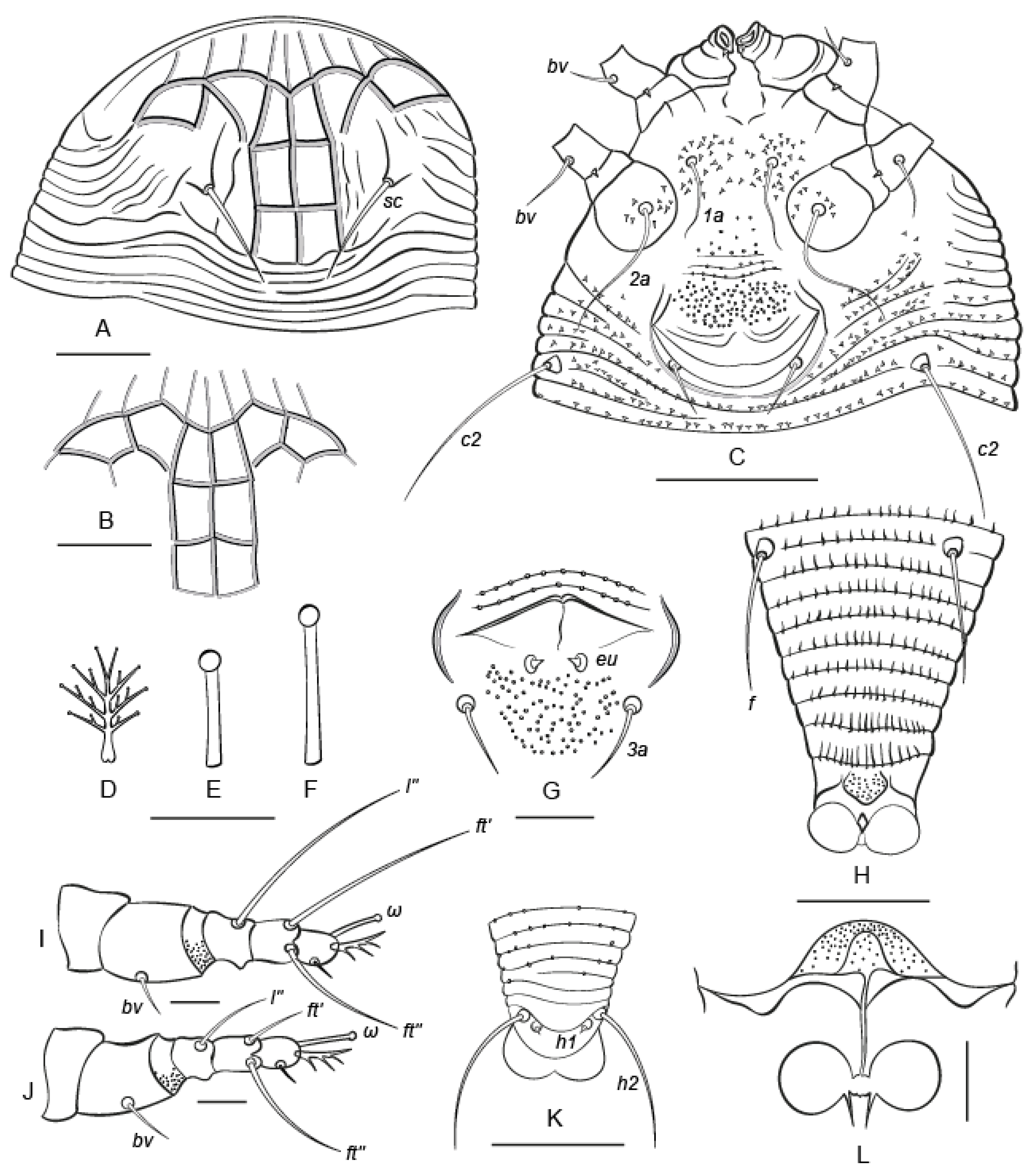 Insects 14 00507 g003 Insects 14 00507 g003