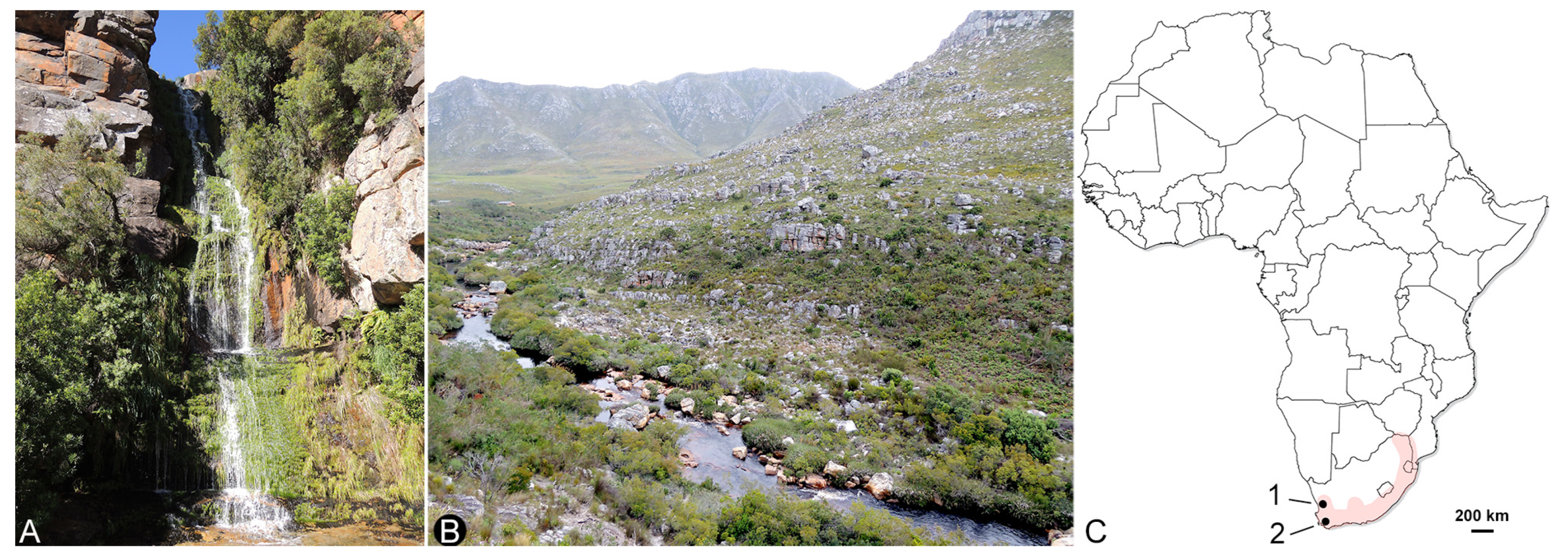 Insects 14 00507 g005 Insects 14 00507 g005