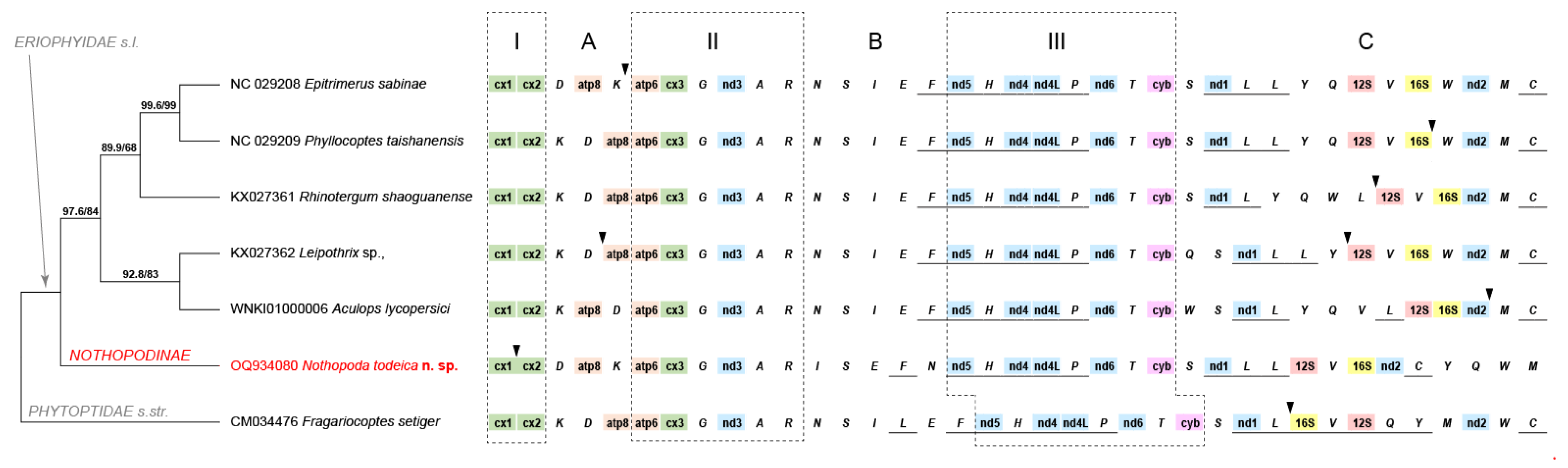 Insects 14 00507 g007 Insects 14 00507 g007