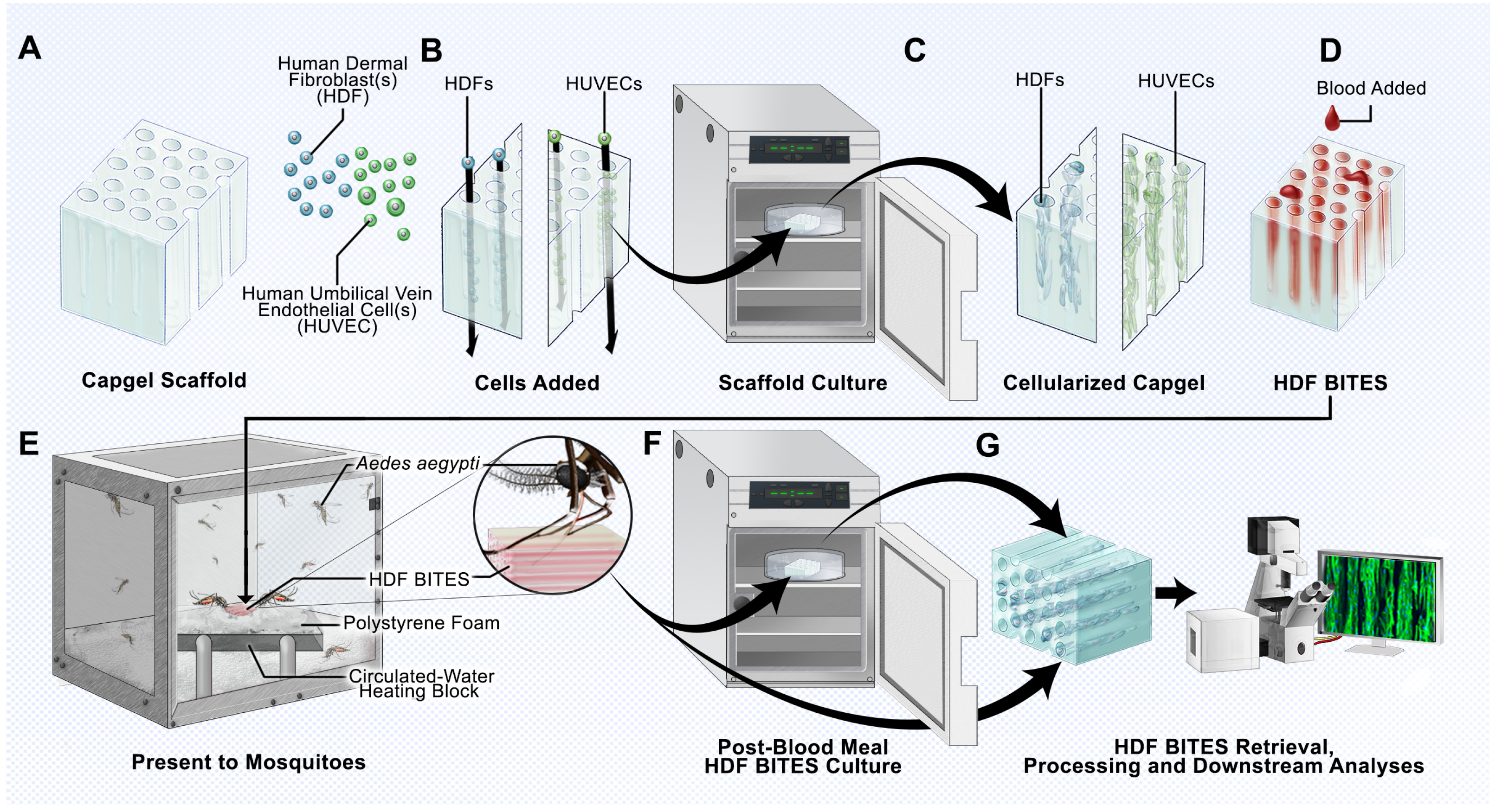 Insects 14 00514 g001 Insects 14 00514 g001