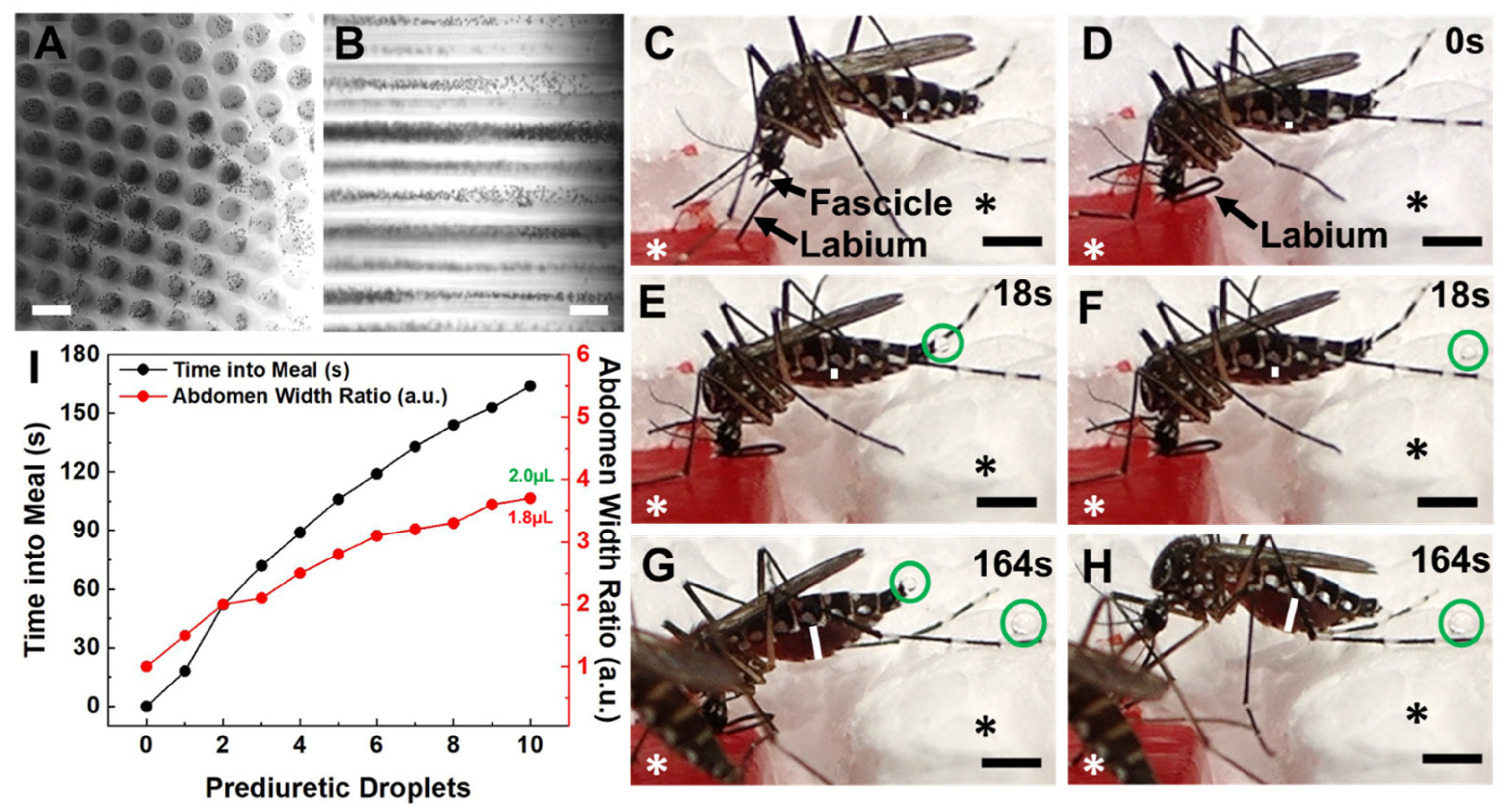 Insects 14 00514 g002 Insects 14 00514 g002