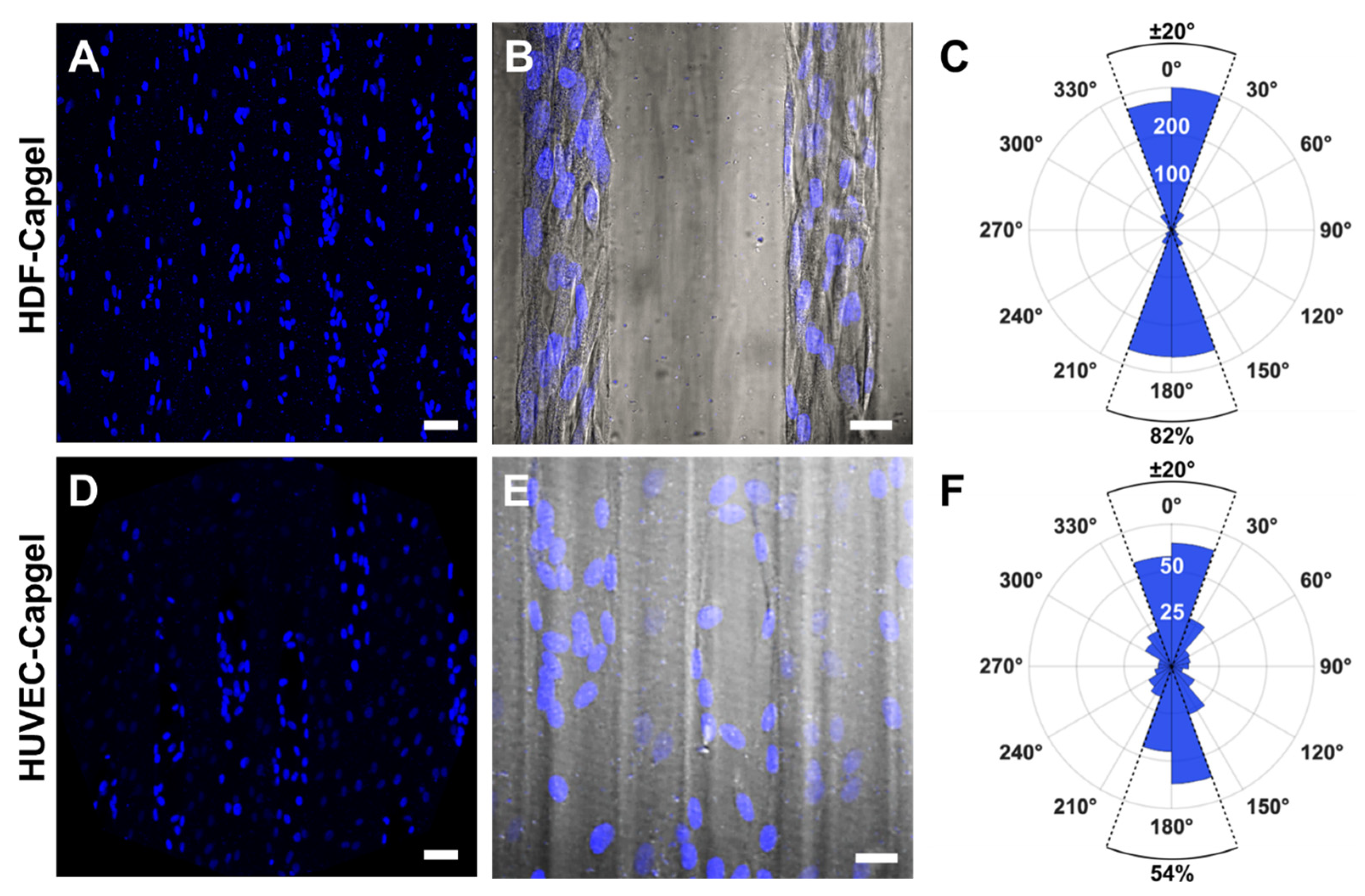 Insects 14 00514 g005 Insects 14 00514 g005