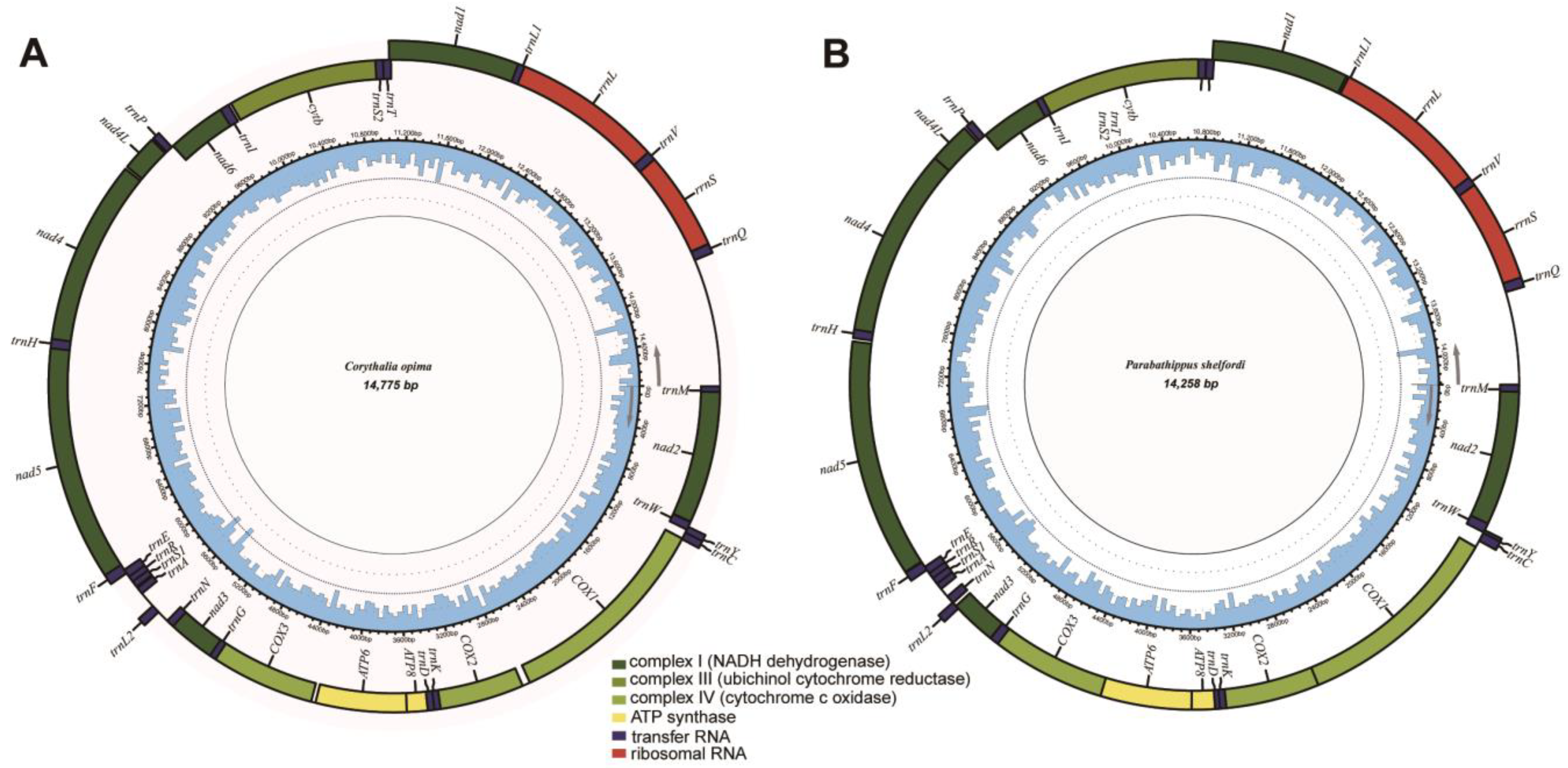 Insects 14 00517 g001 Insects 14 00517 g001