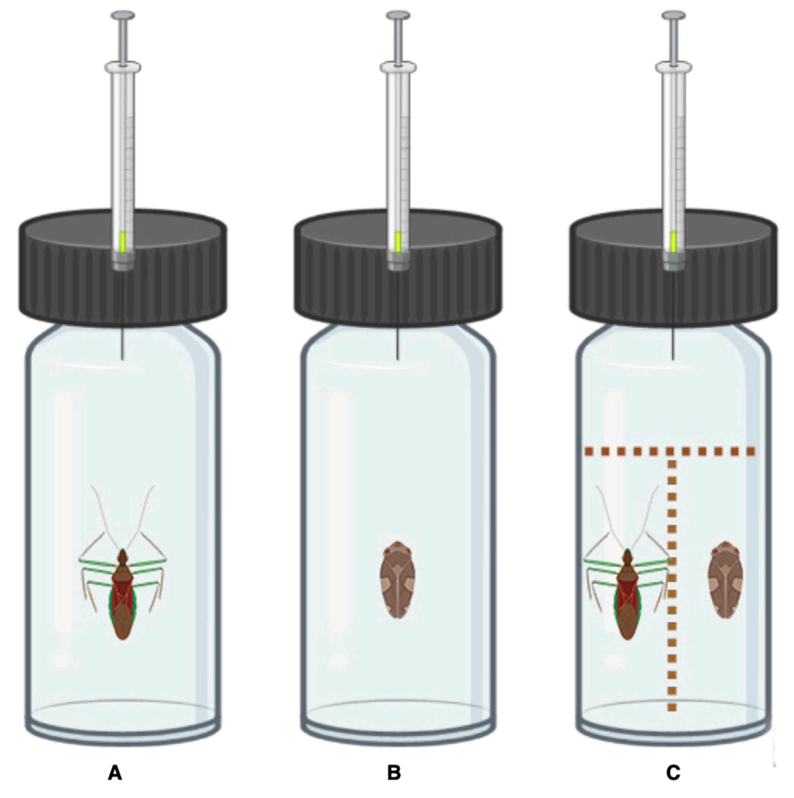 Insects 14 00520 g001 Insects 14 00520 g001