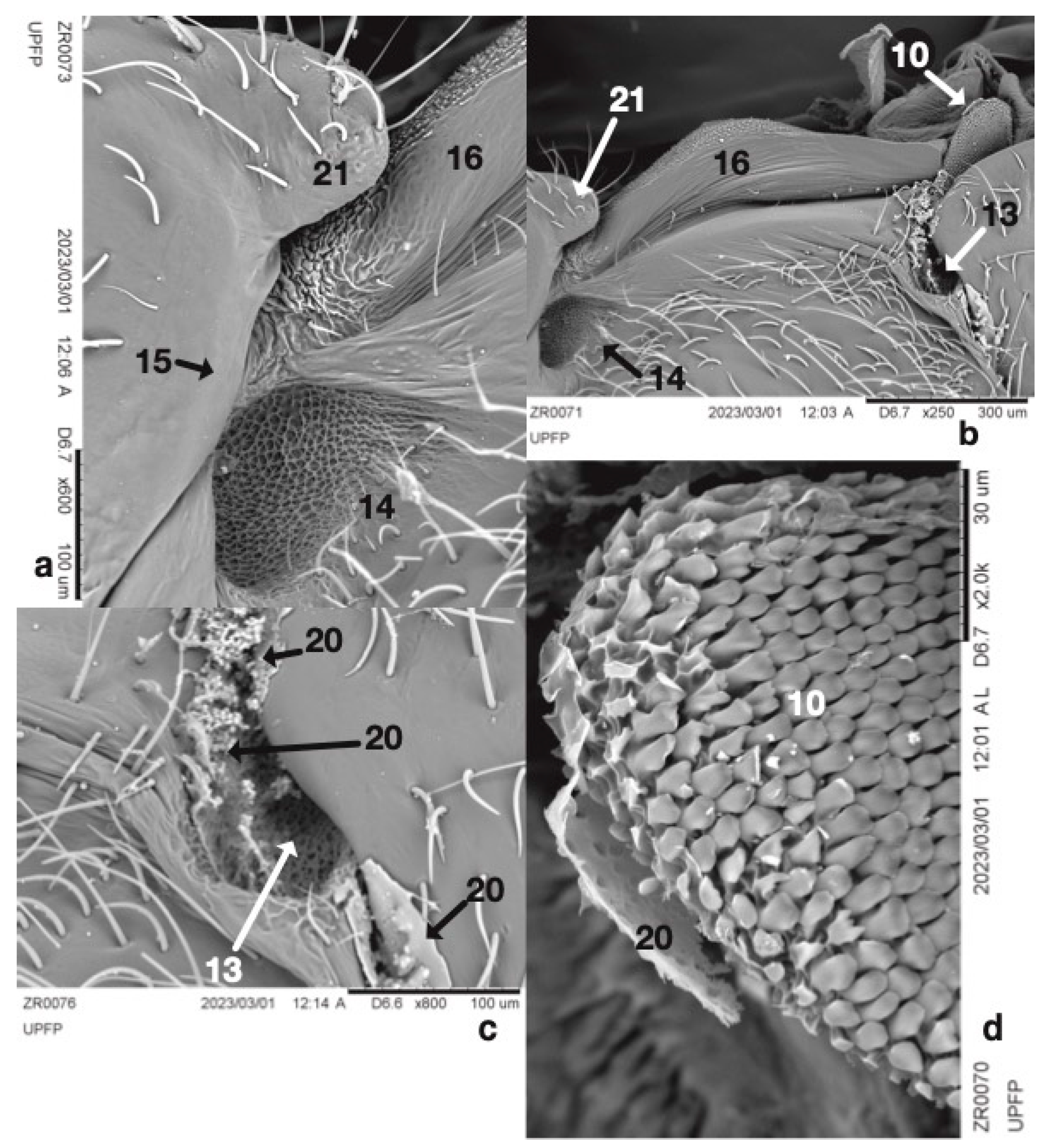 Insects 14 00520 g004 Insects 14 00520 g004