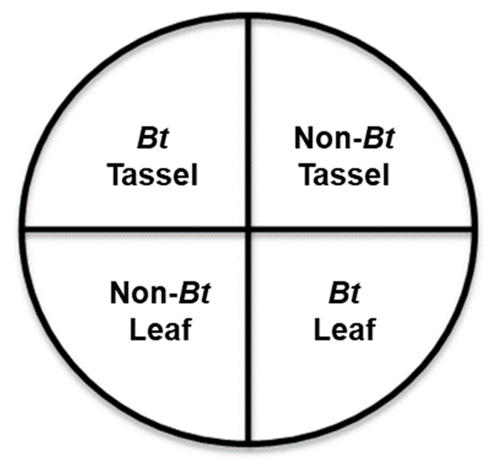 Insects 14 00524 g001