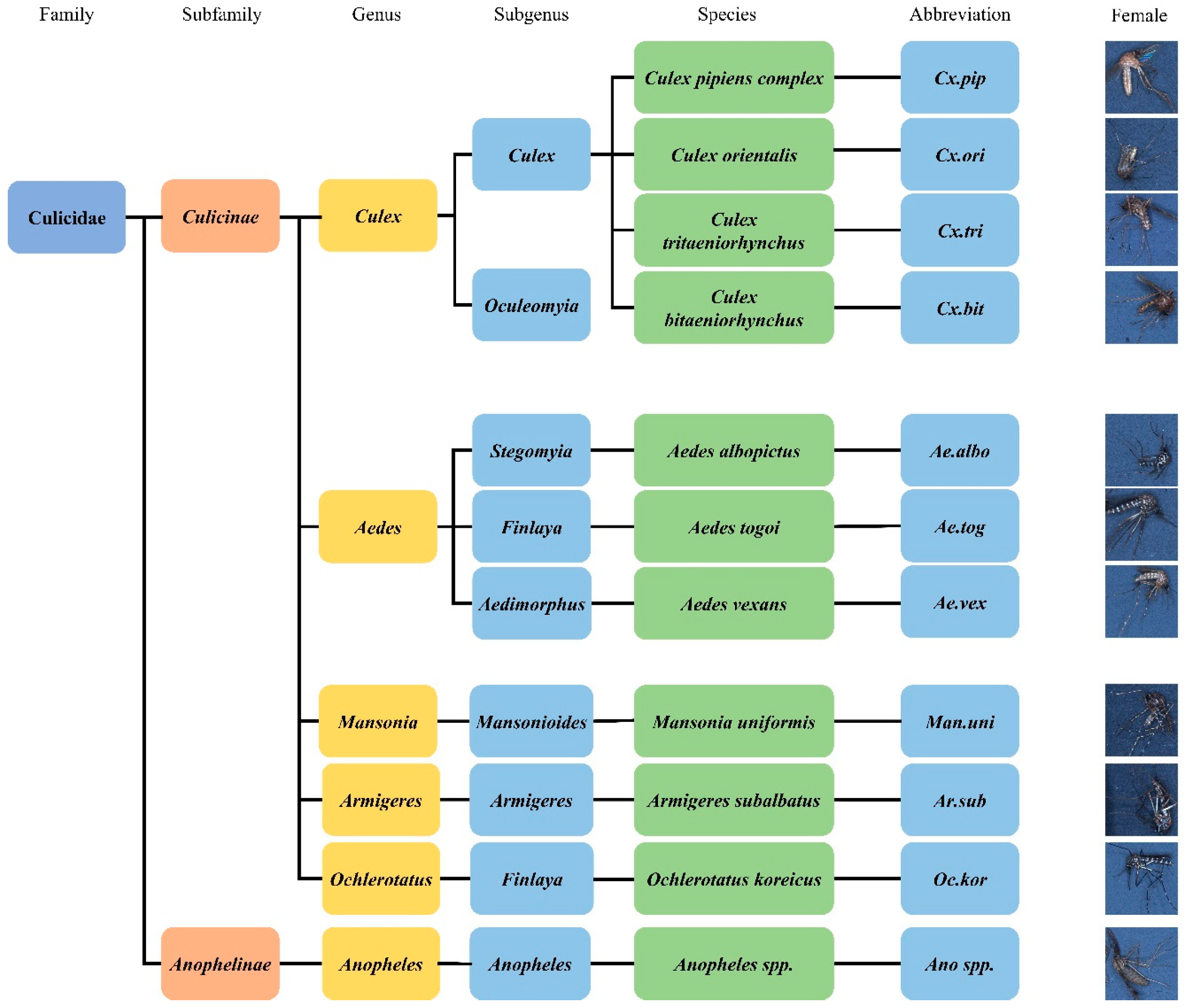 Insects 14 00526 g002 Insects 14 00526 g002