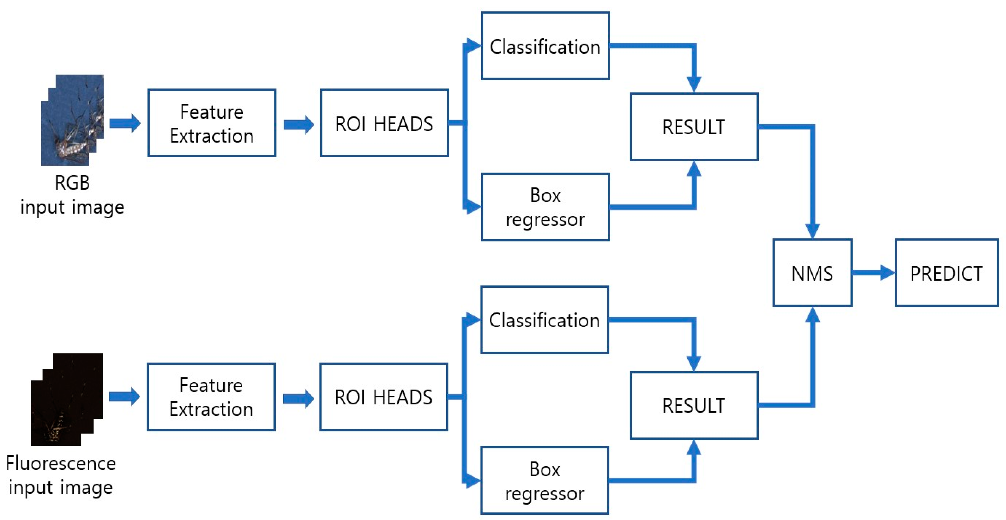 Insects 14 00526 g005 Insects 14 00526 g005