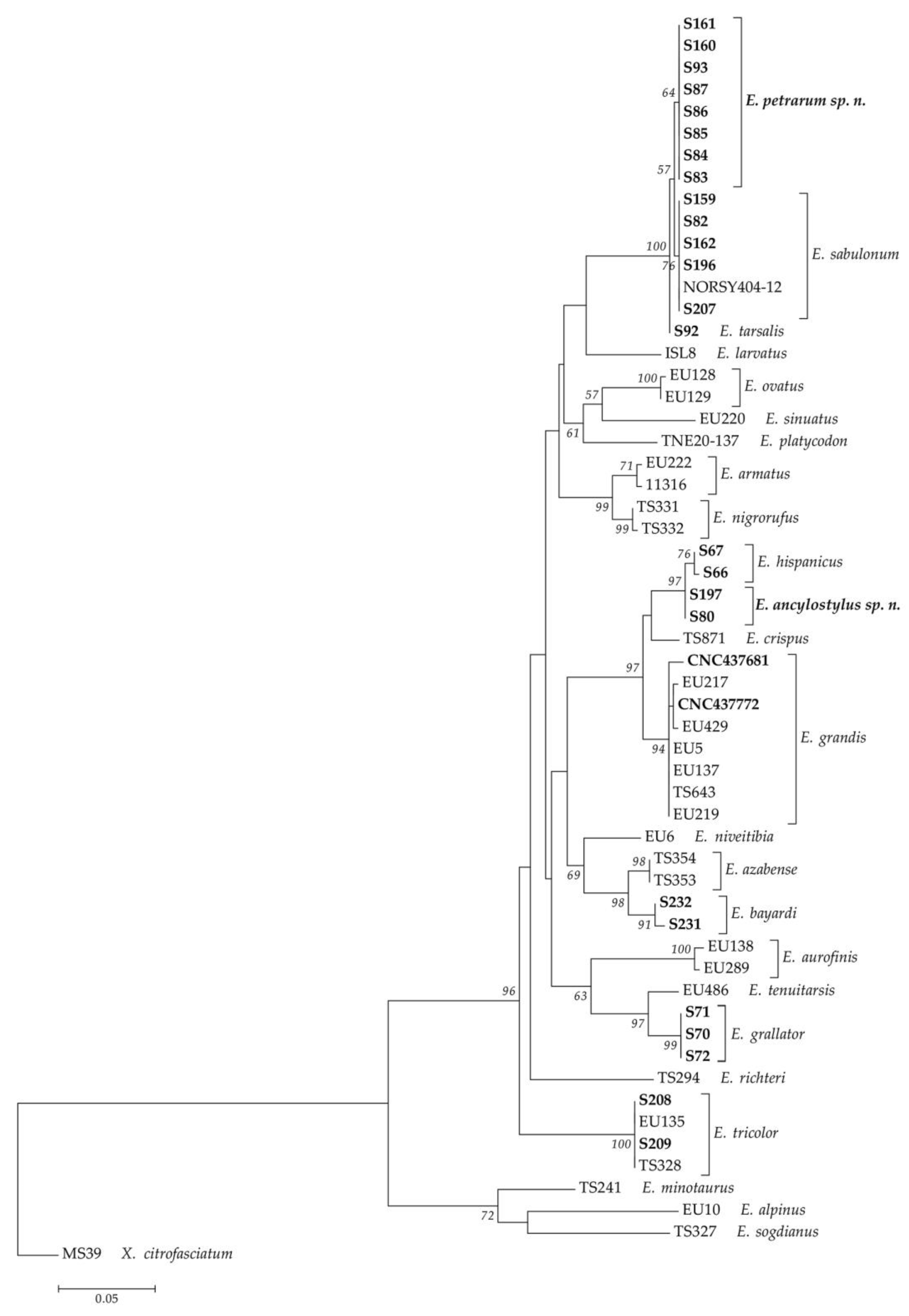 Insects 14 00541 g001 Insects 14 00541 g001