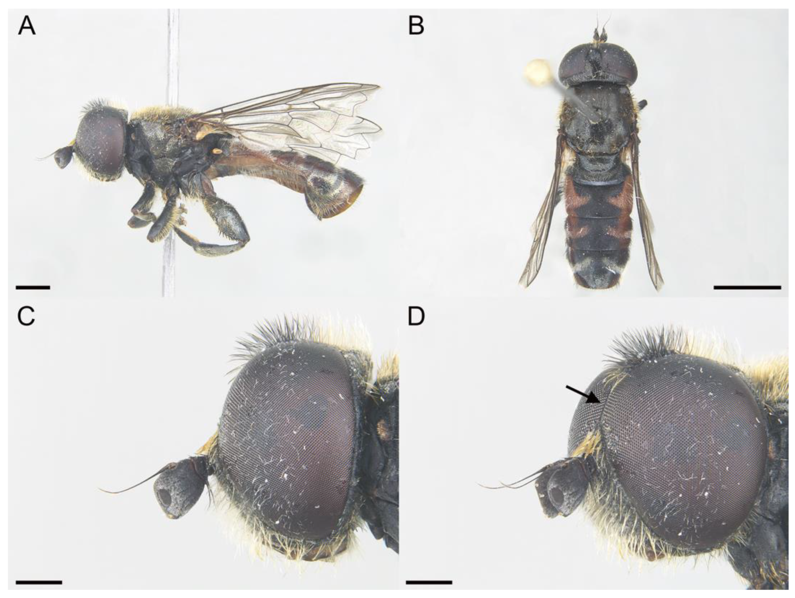 Insects 14 00541 g003 Insects 14 00541 g003