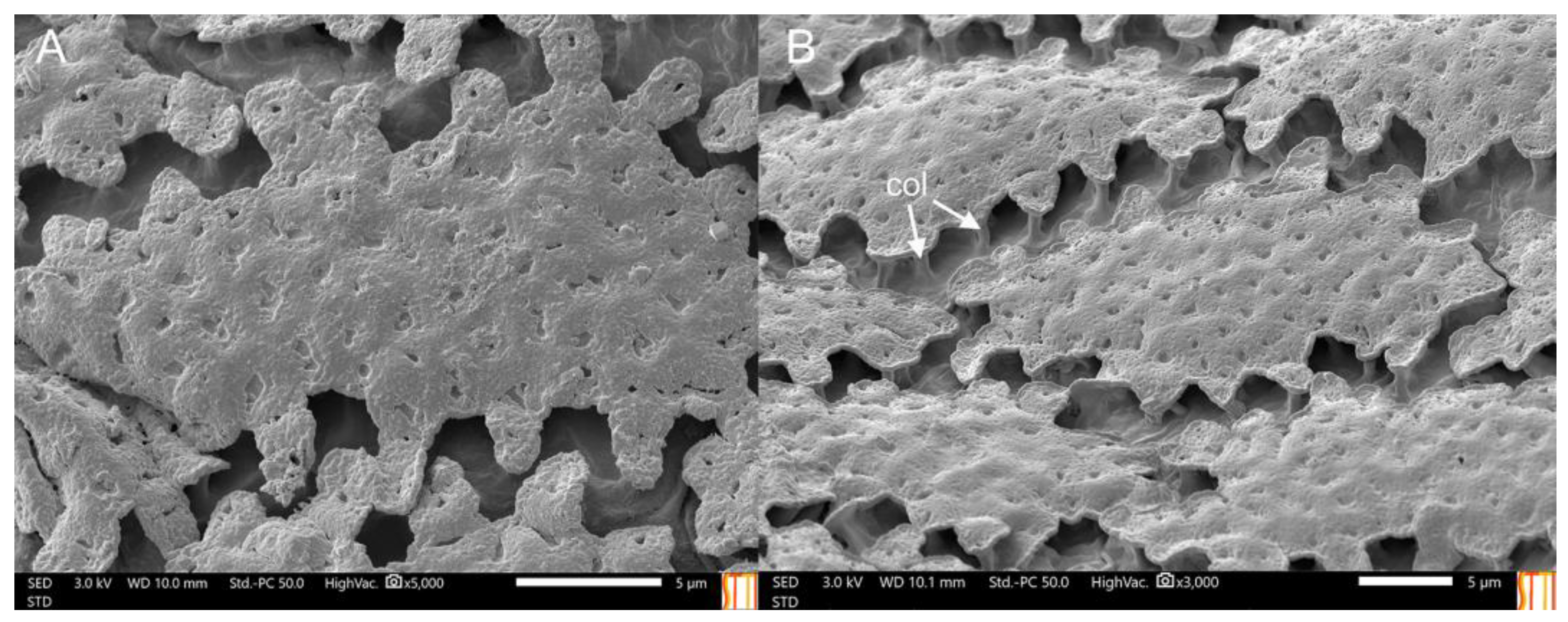 Insects 14 00541 g012 Insects 14 00541 g012