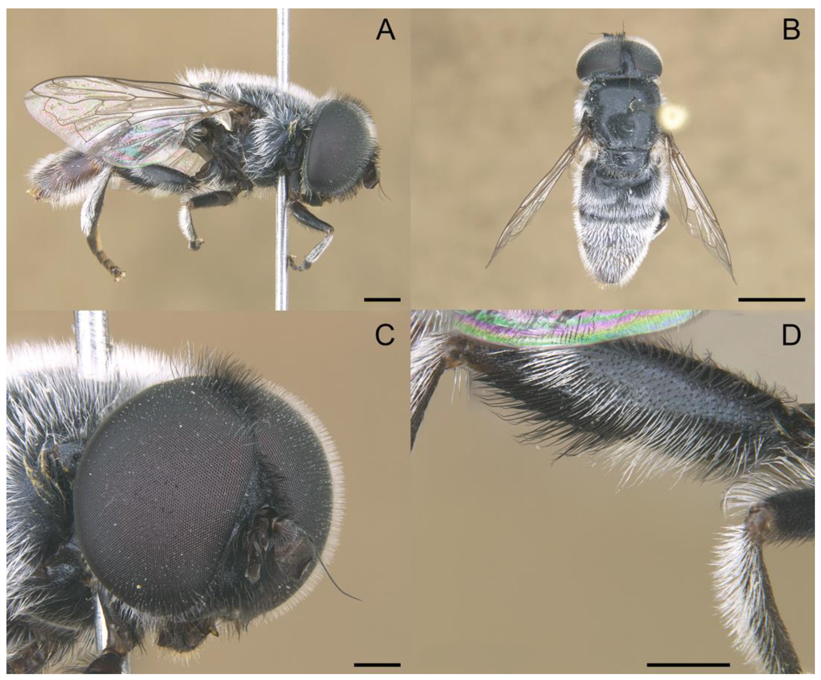 Insects 14 00541 g017 Insects 14 00541 g017