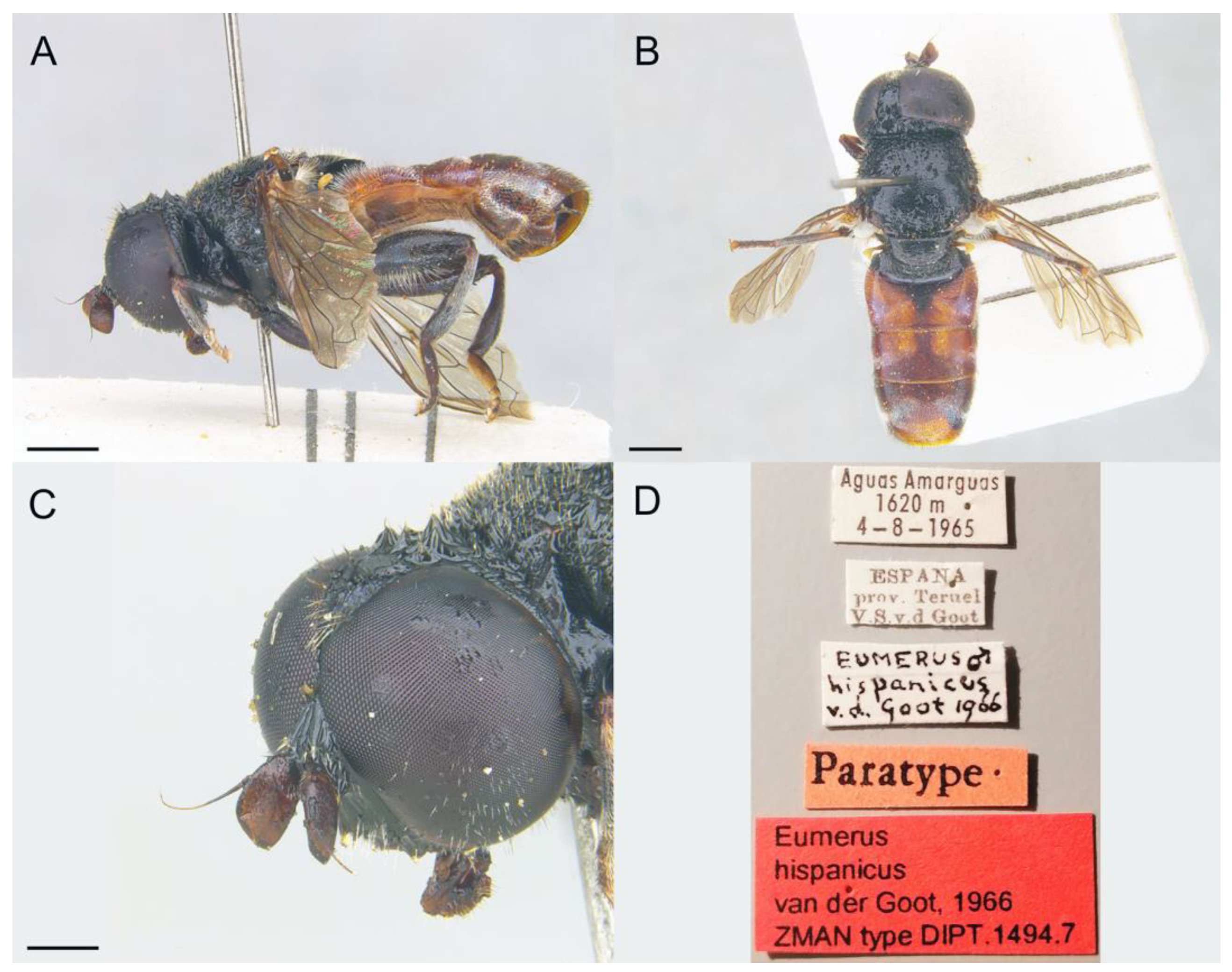 Insects 14 00541 g019 Insects 14 00541 g019