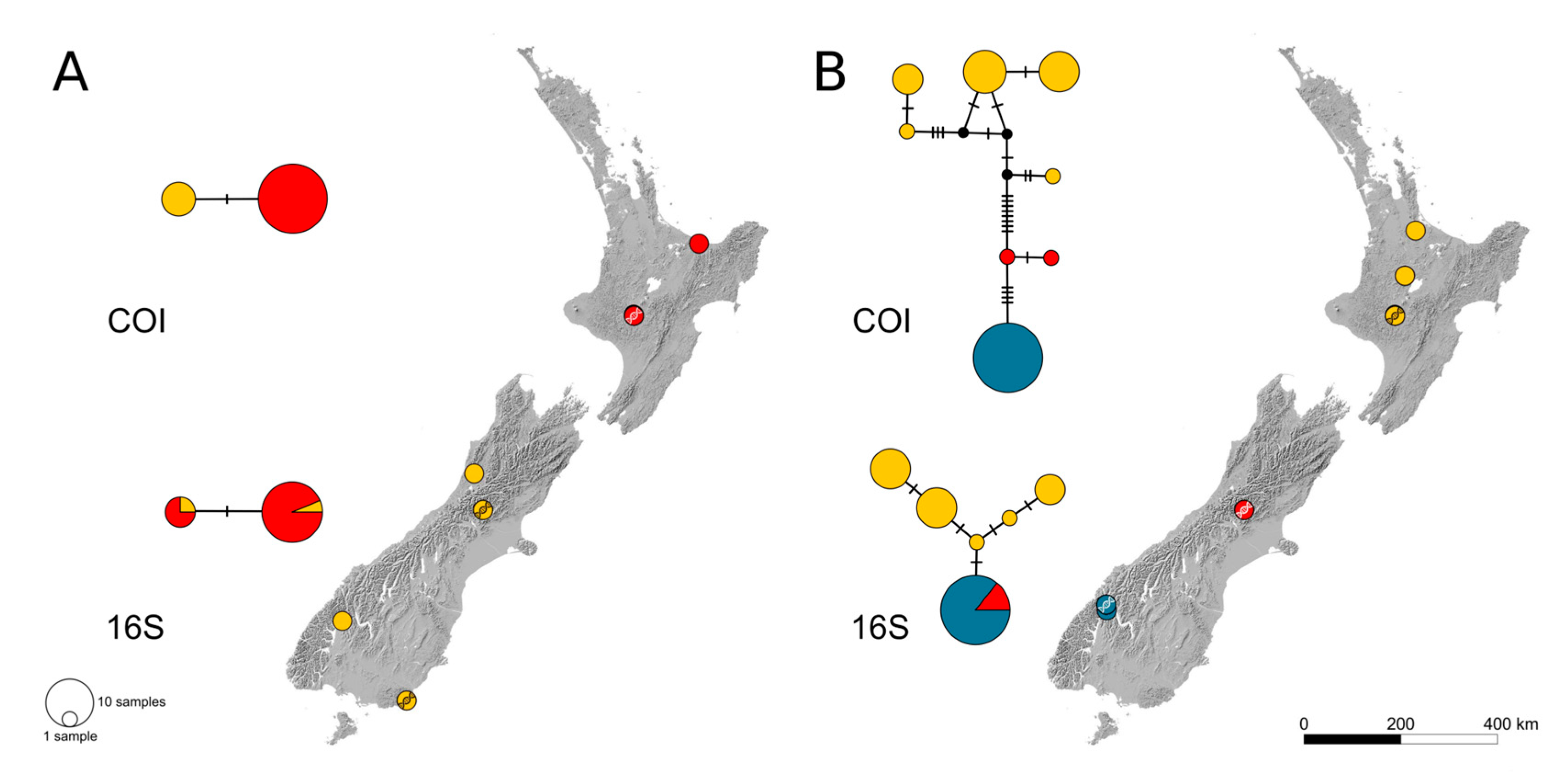 Insects 14 00548 g001 Insects 14 00548 g001