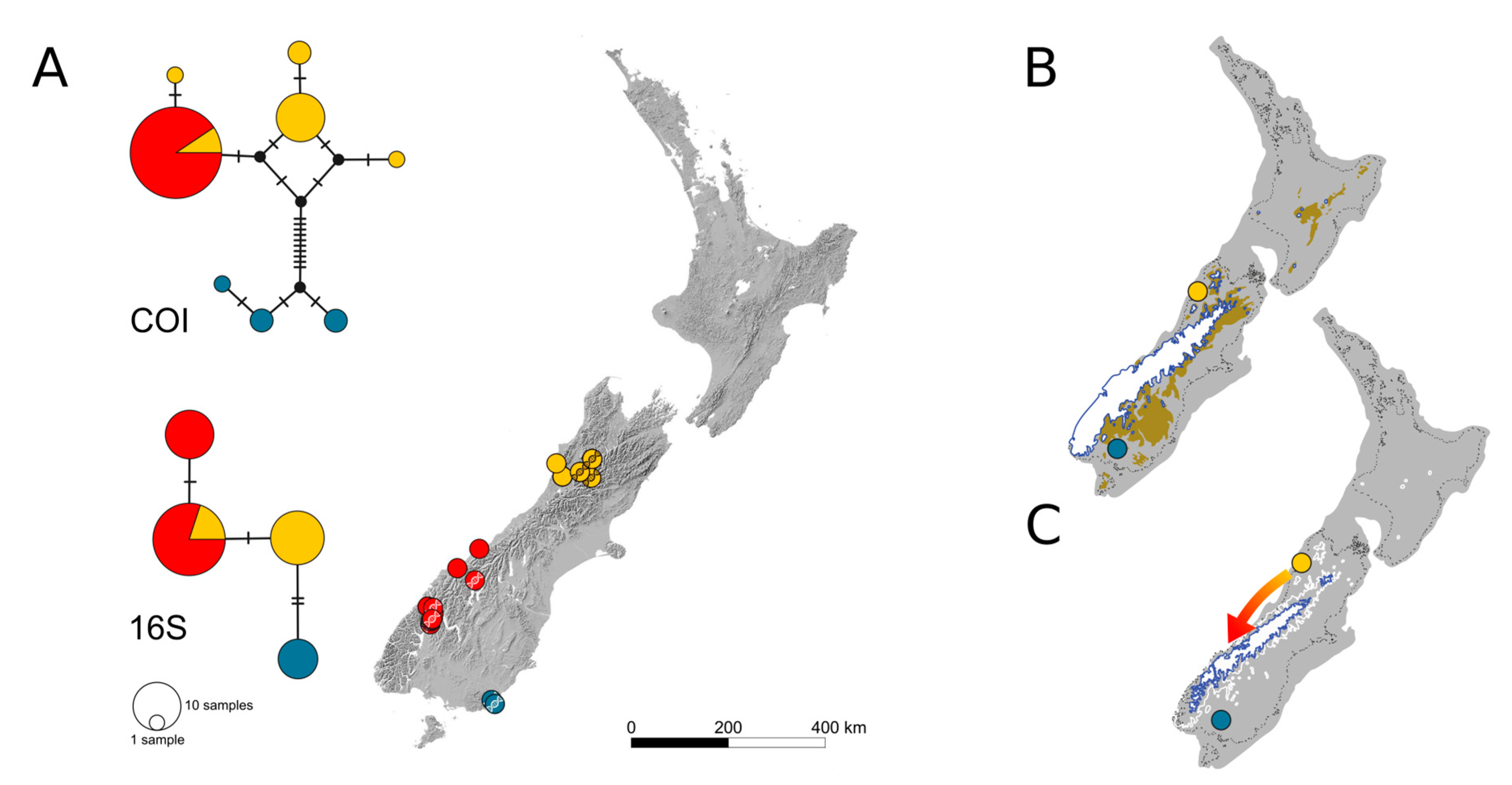 Insects 14 00548 g002 Insects 14 00548 g002
