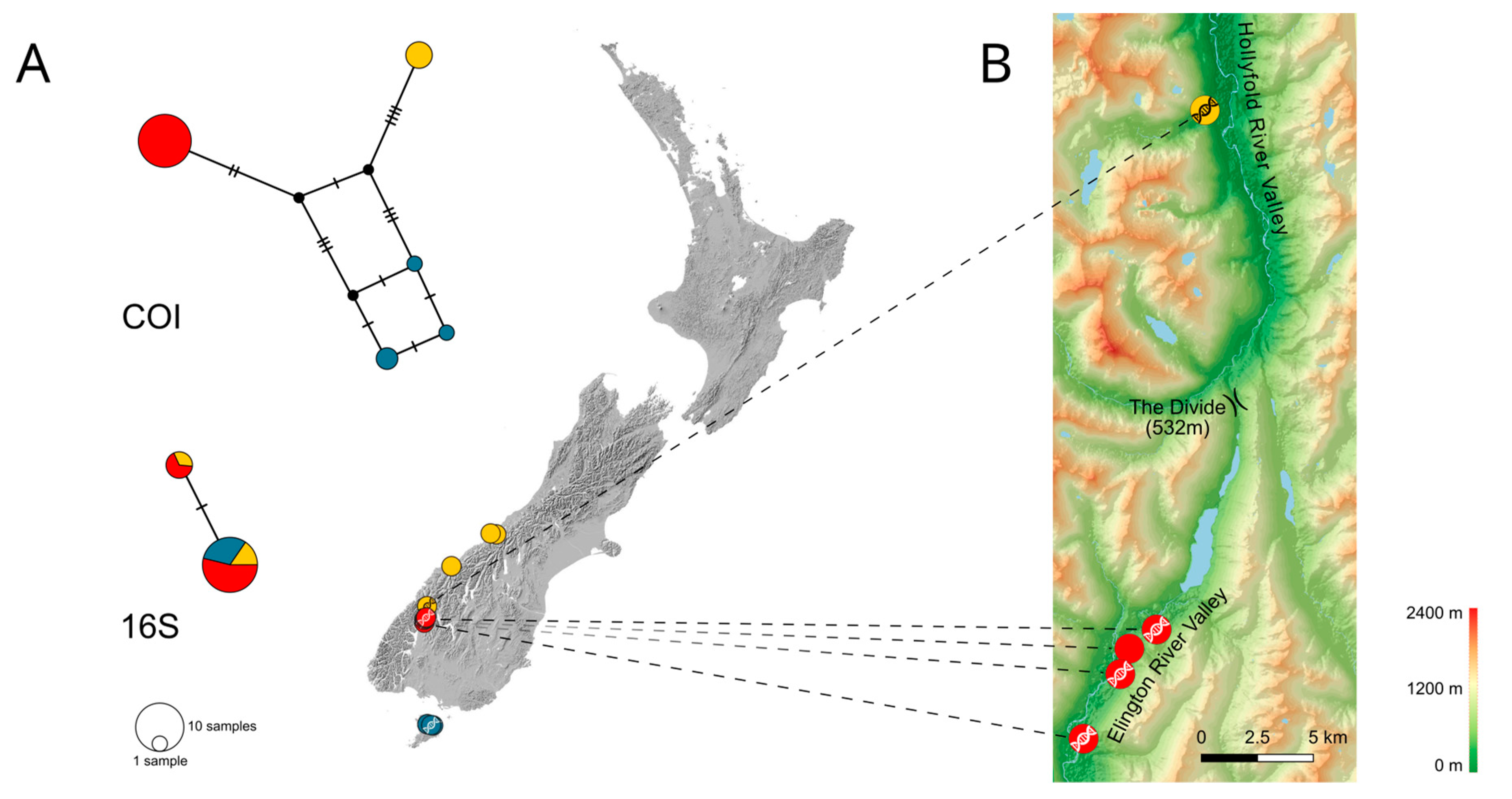 Insects 14 00548 g003 Insects 14 00548 g003